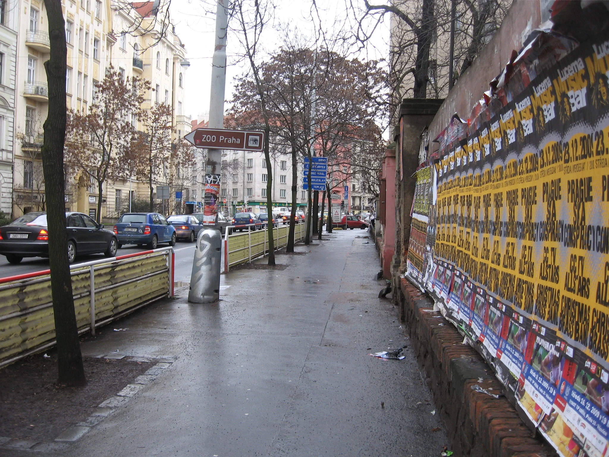 IMG_5341.jpg
