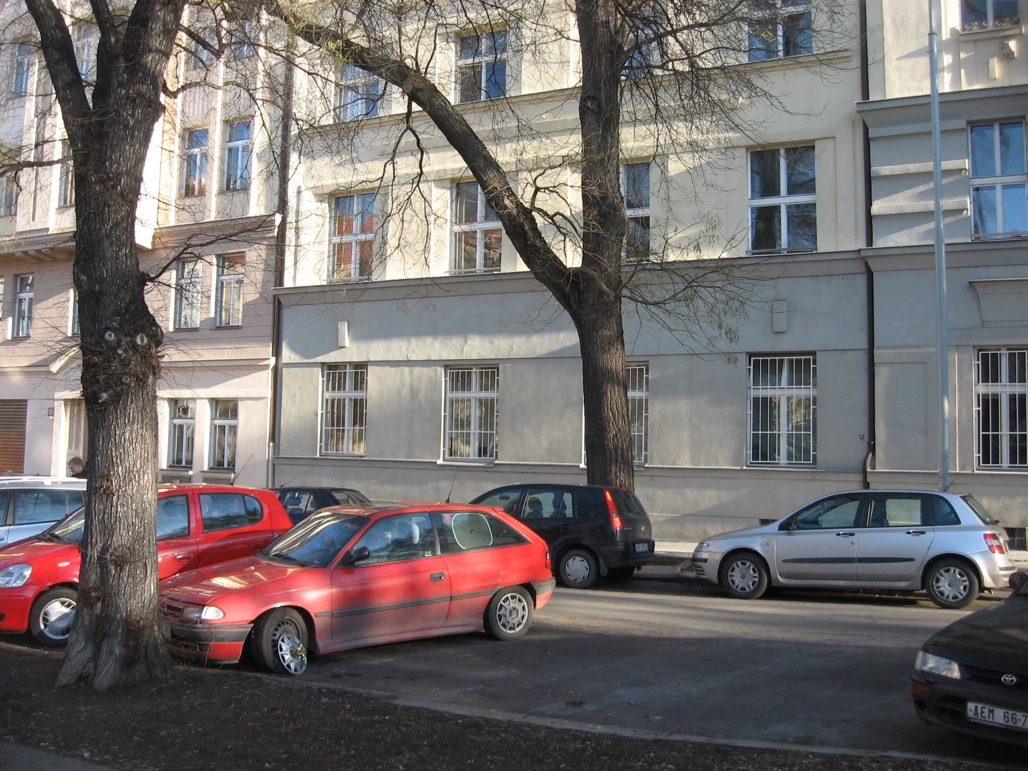 IMG_5512.jpg