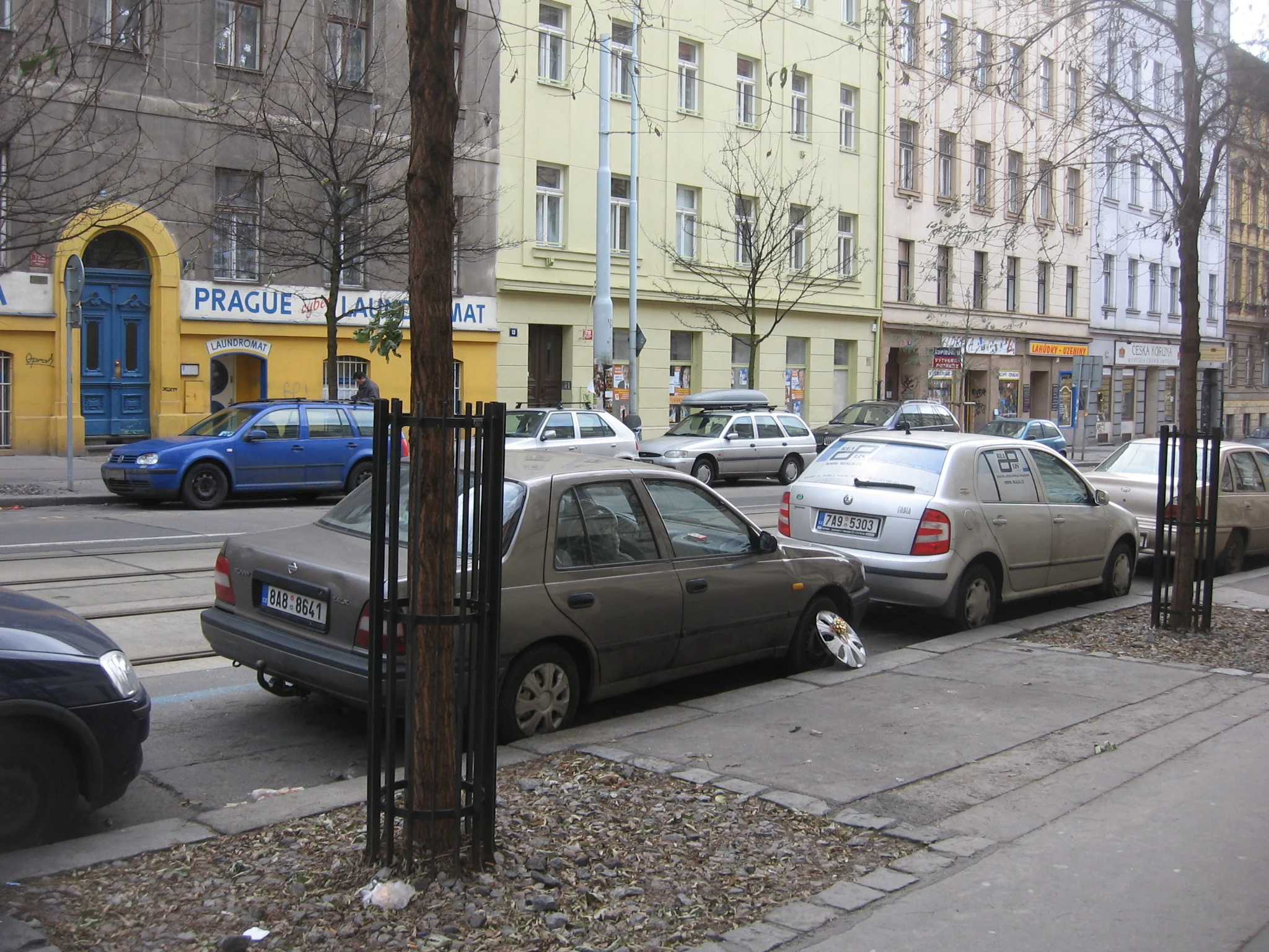 IMG_5665.jpg