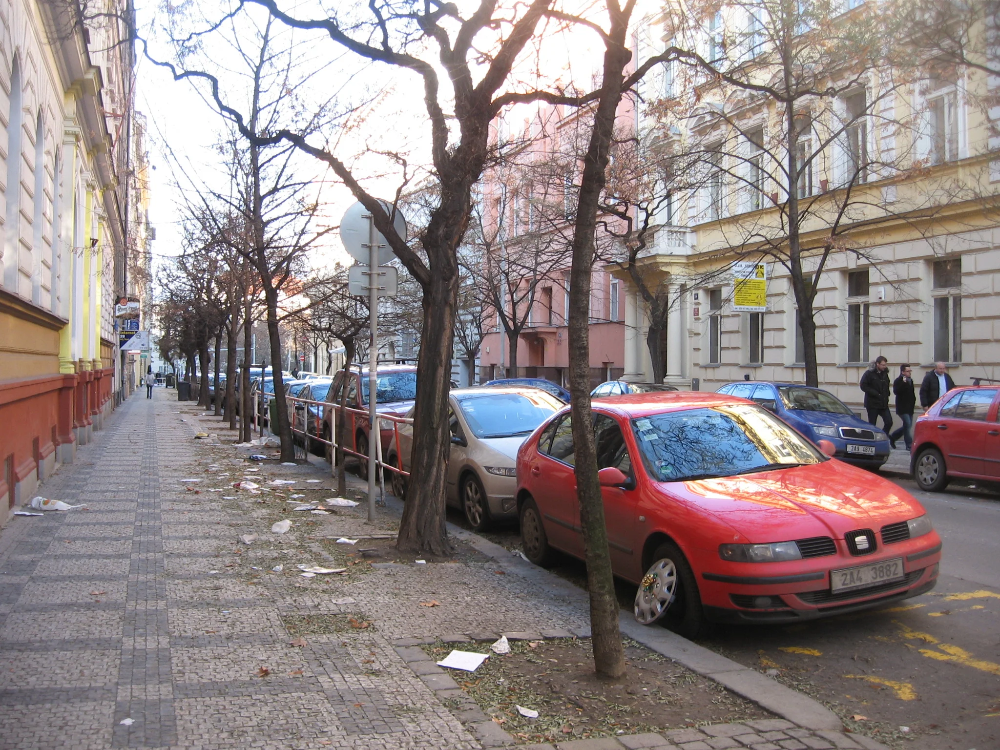 IMG_5699.jpg
