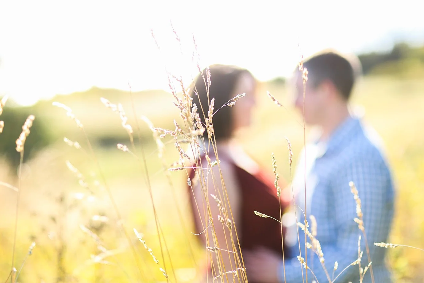 A couple standing close together in a grassy field with tall wild grasses and flowers, backlit by sunlight, with their faces slightly blurred.