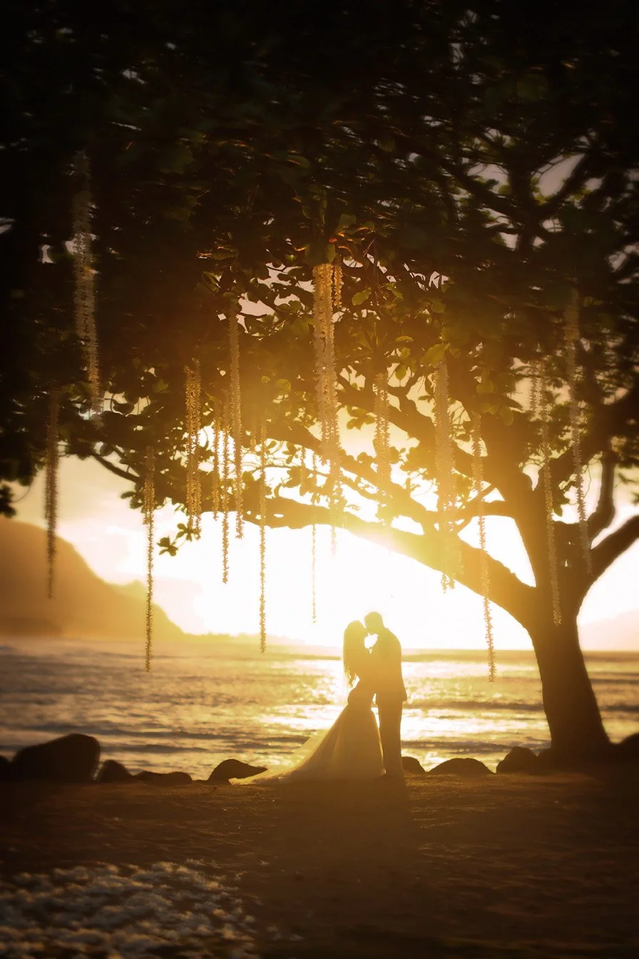 Silhouette of a bride and groom standing under a large tree during sunset on the beach.