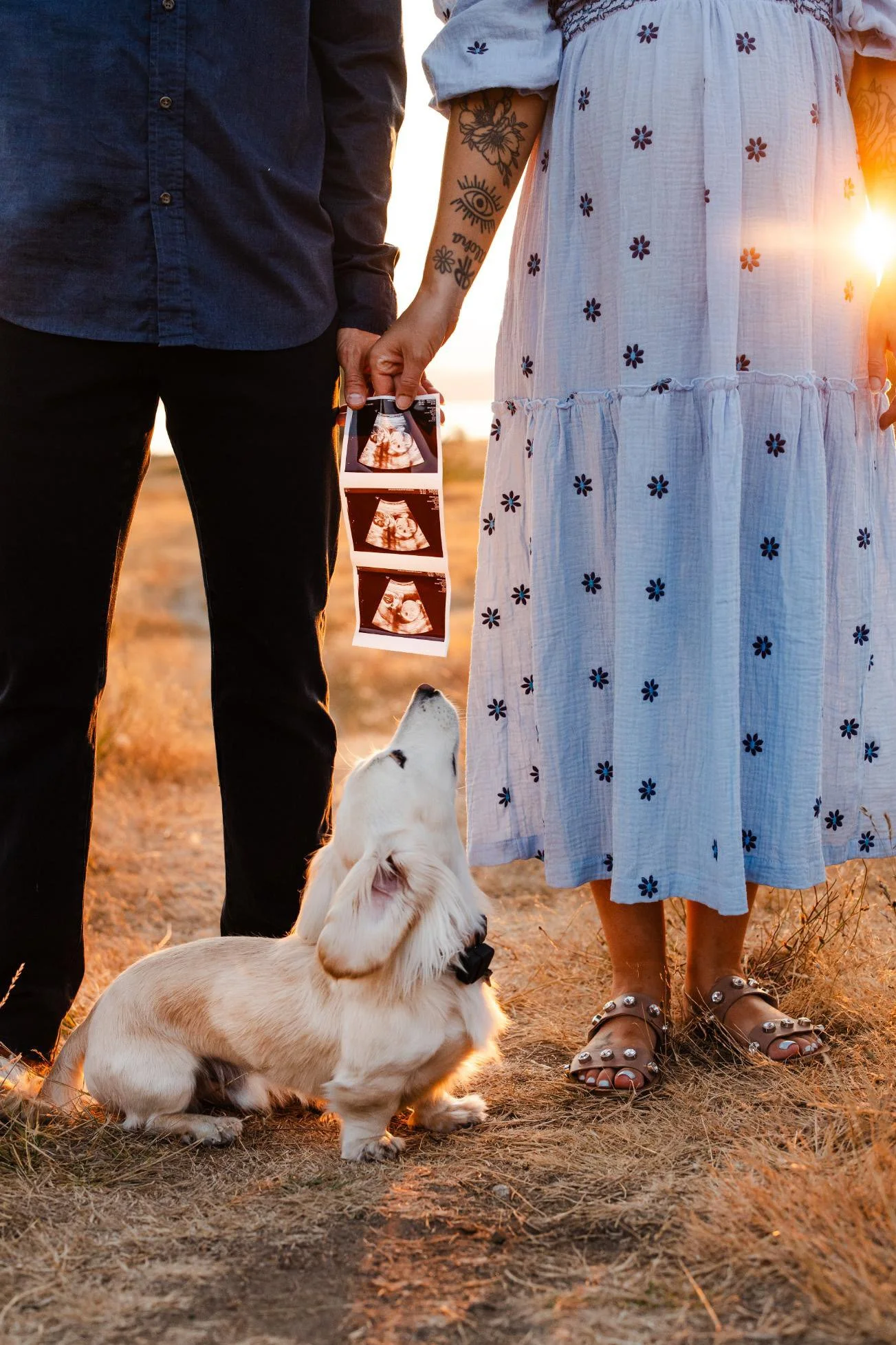 Seattle-Family-Maternity-Photographer-Dog-Discovery-Park.jpg
