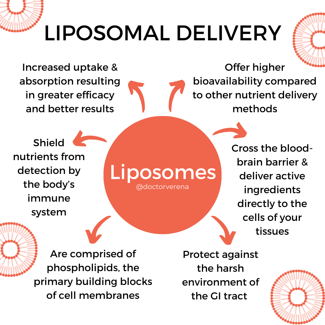 Liposomes.png