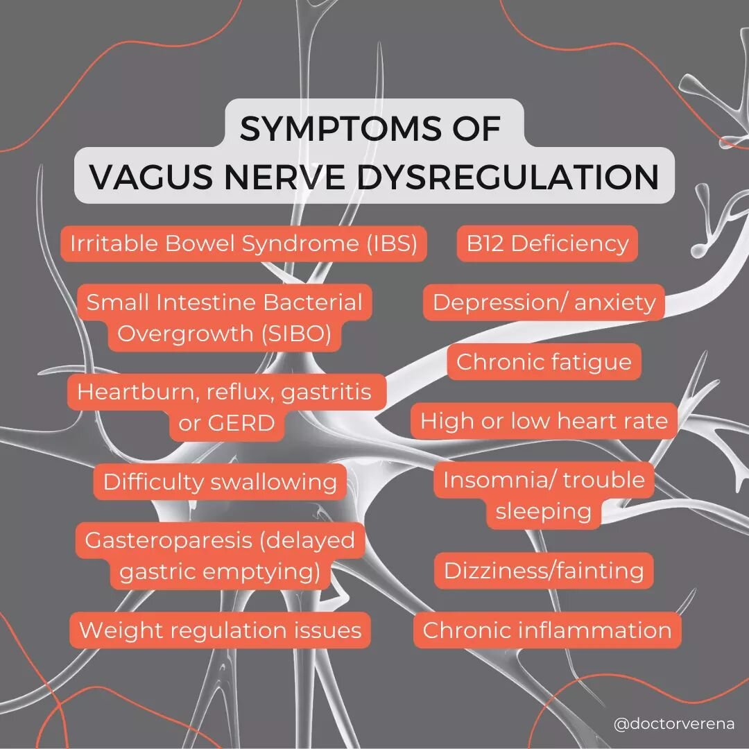 Have you heard of the Vagus Nerve? 🧬

👉 It's the longest cranial nerve in the body, running from the brainstem, all the way down to the abdomen.

👉 It plays a critical role in regulating various bodily functions, such as&nbsp;heart rate, digestion