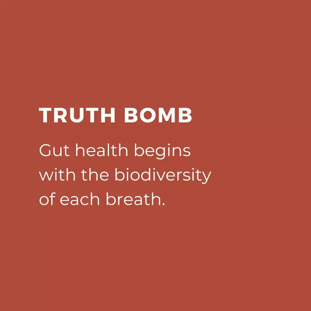 Did you know that the journey to optimal gut health begins with every breath we take?

👃 Our sinuses serve as a gateway to the microbial world, crucial from the very start of our development. It all begins with the formation of the heart palate, set