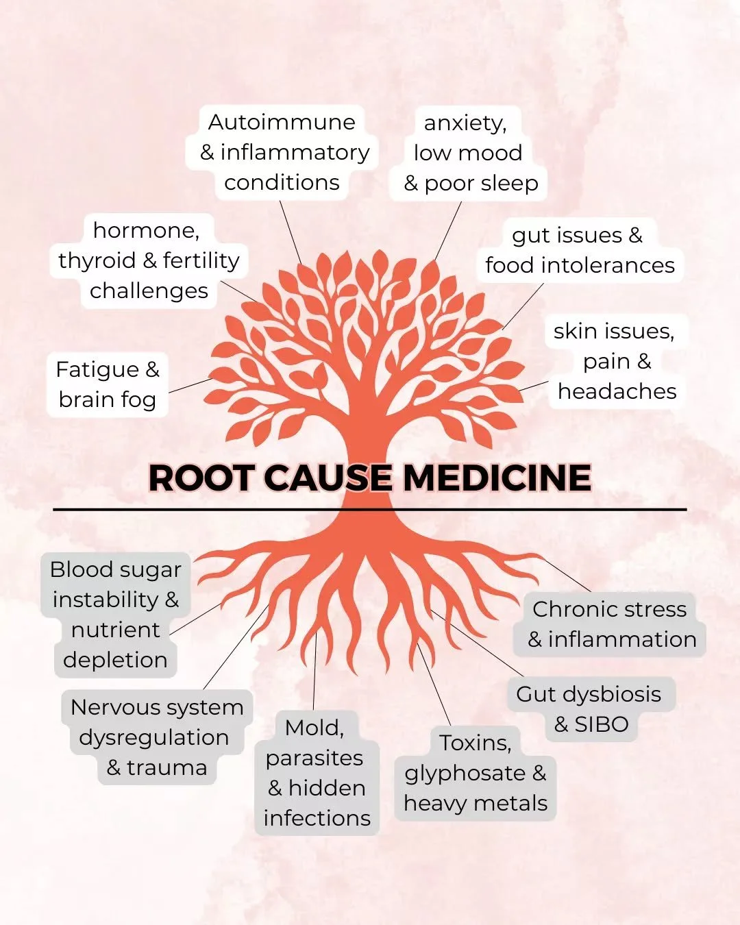 Fatigue, brain fog, gut issues, skin flare-ups, hormonal shifts, anxiety, poor sleep.. These are all surface-level signs that something isn&rsquo;t quite right in the body.

🌳 Beneath these symptoms lie the 'real roots', such as chronic stress, nerv
