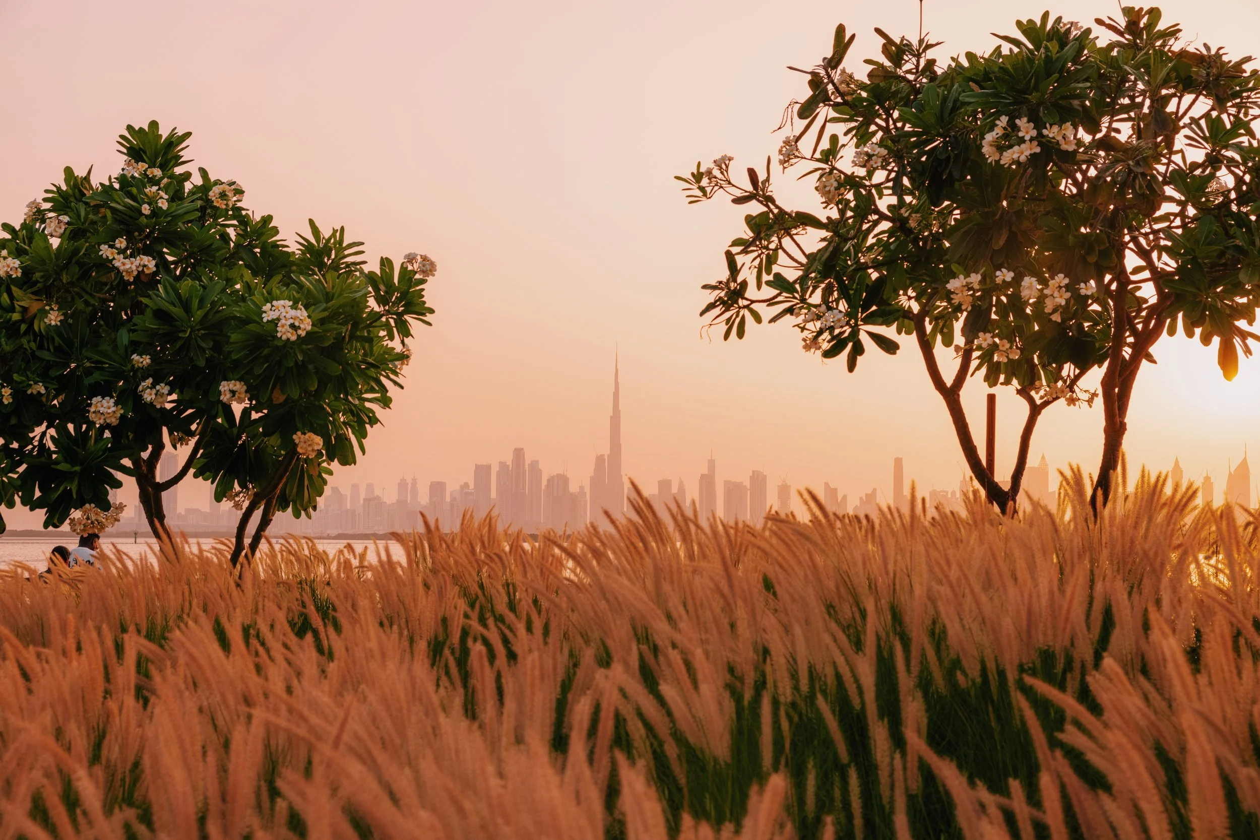 JWMarriottDubai_2022-28.jpg