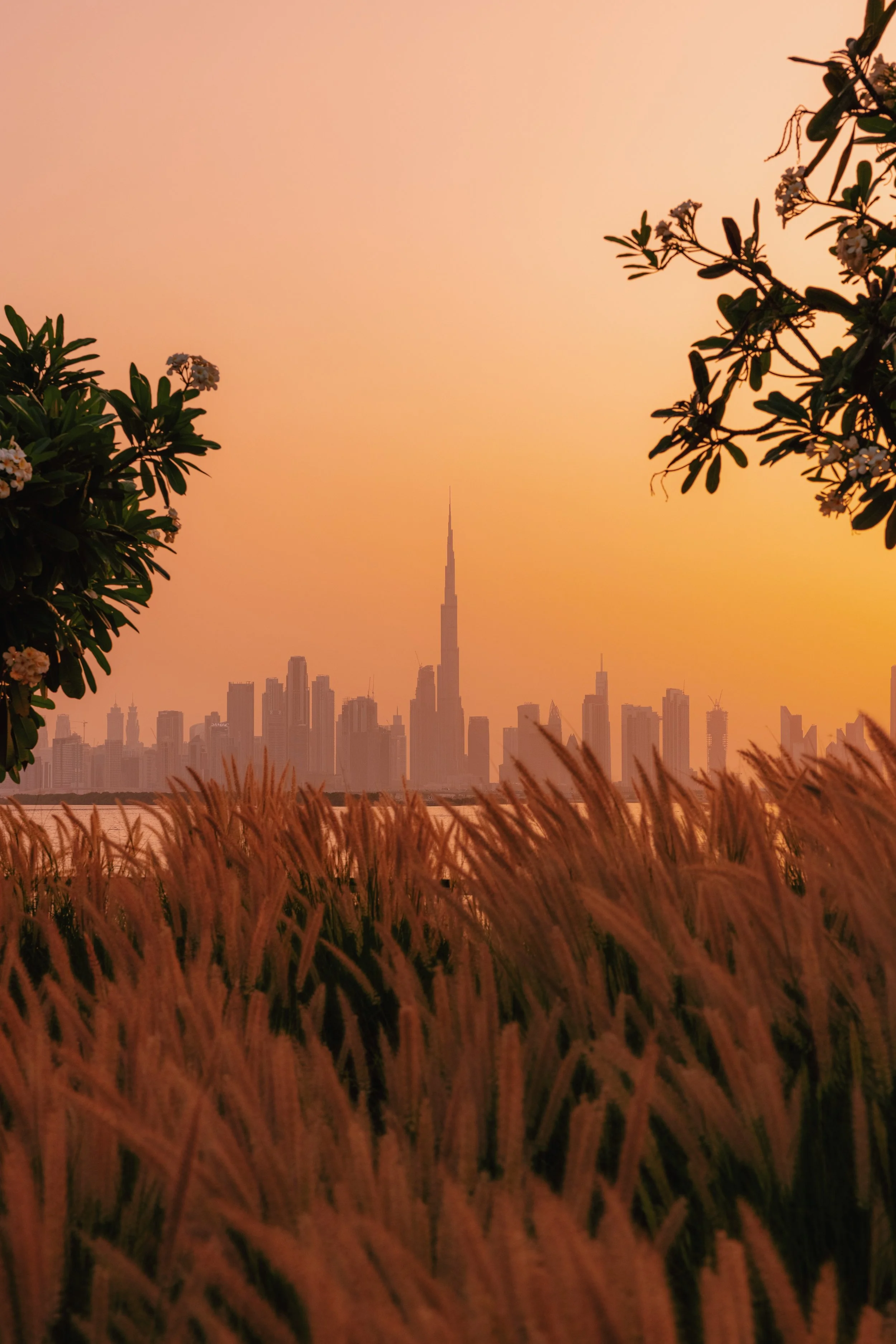 JWMarriottDubai_2022-29.jpg