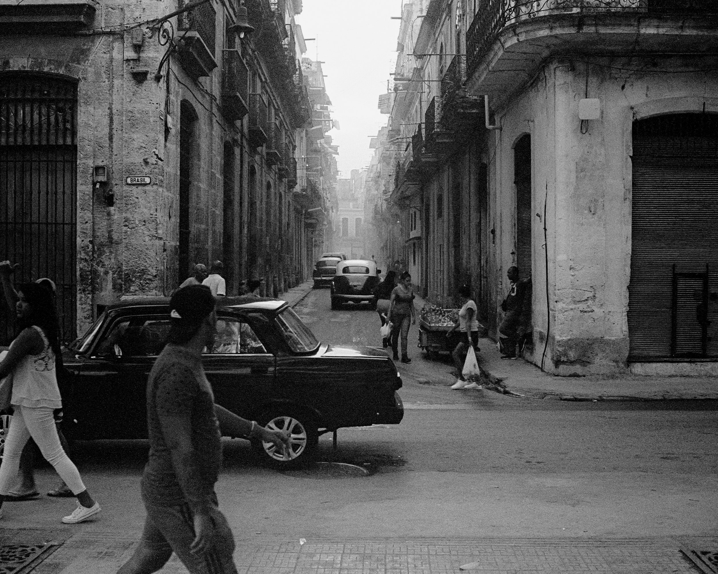 Photo Feb 09 2023, 1 13 53 PM-182.jpg