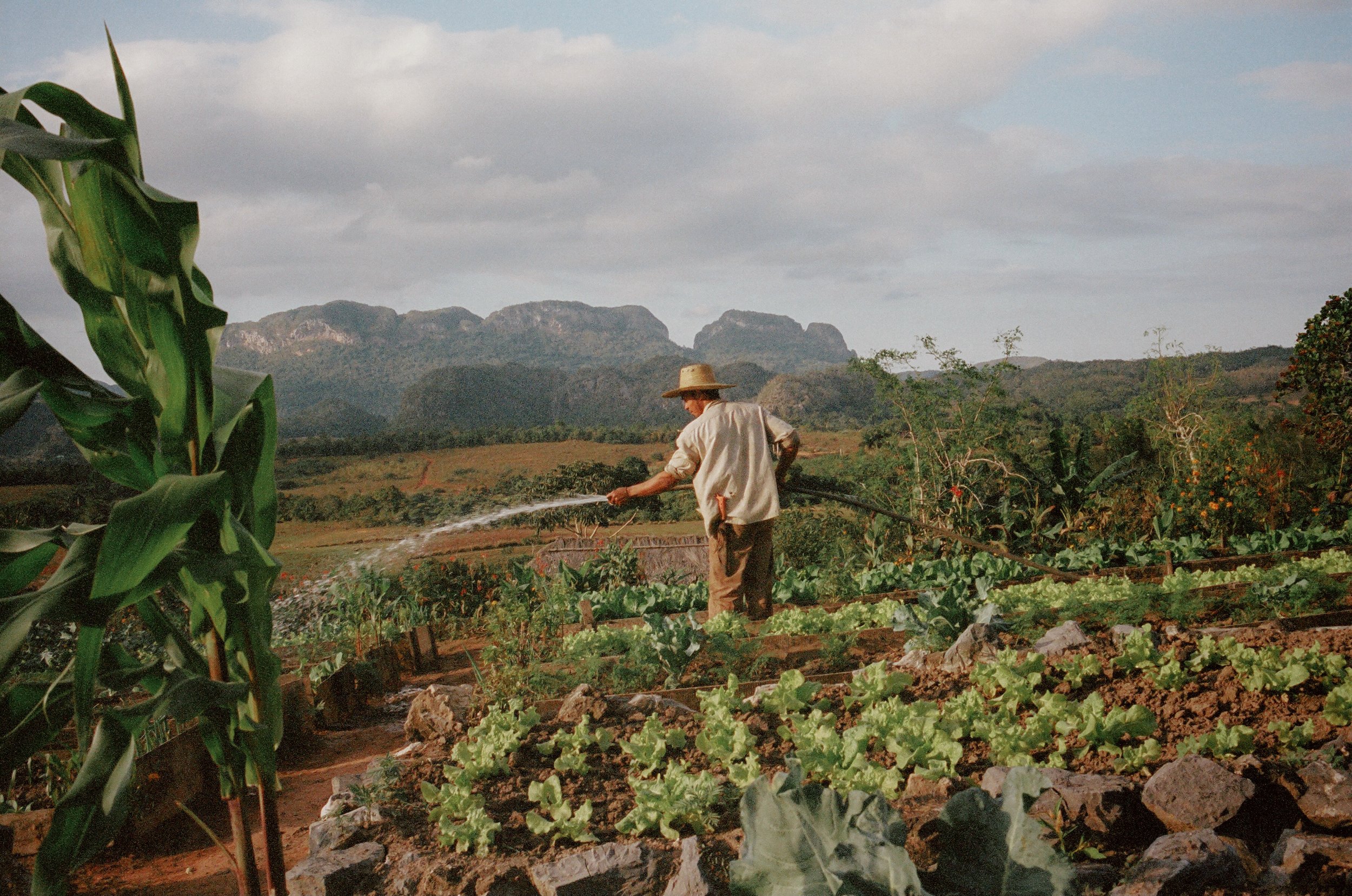 Photo Jun 09 2022, 10 44 13 AM-172.jpg