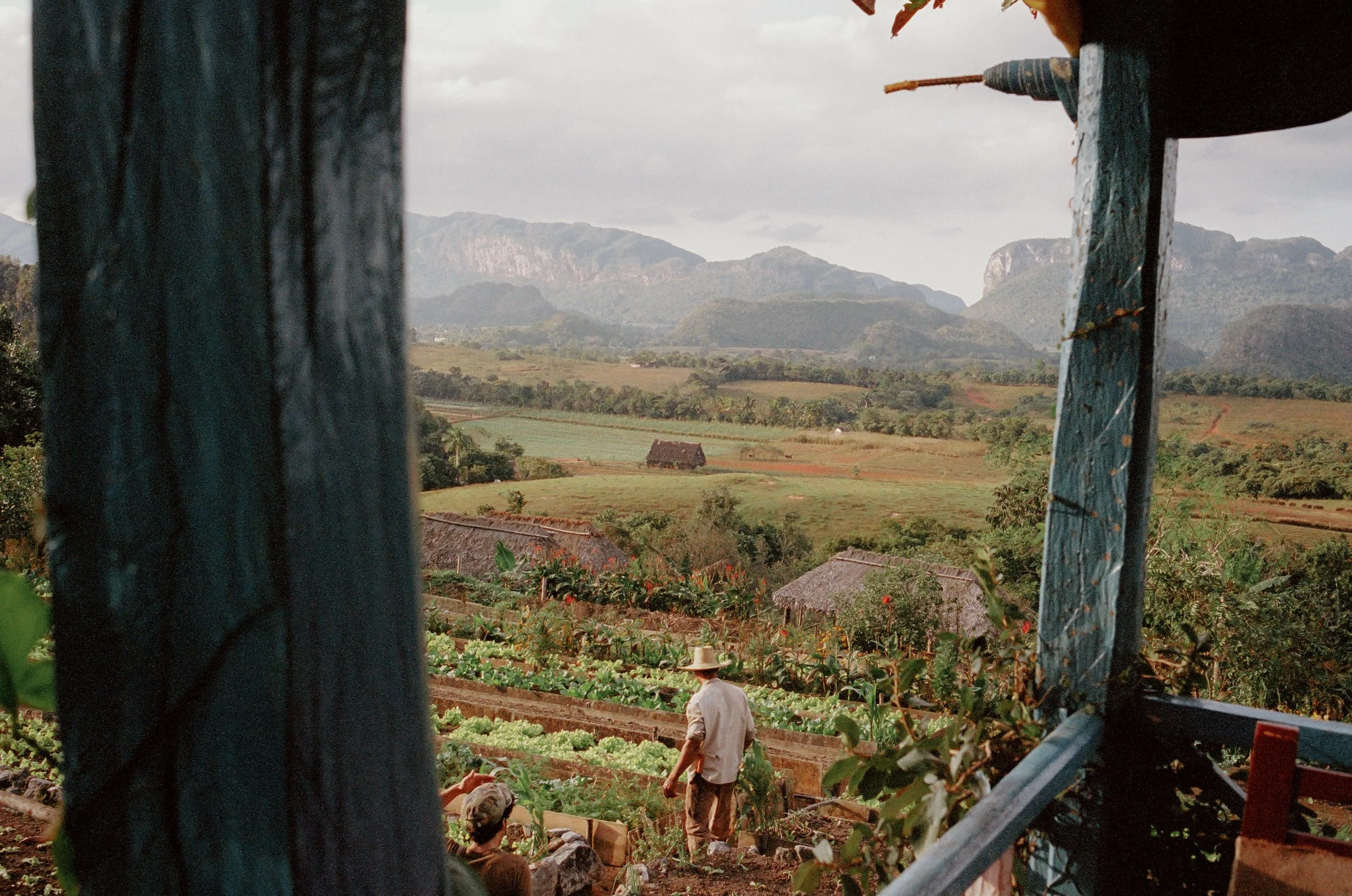 Photo Feb 09 2023, 2 30 50 PM-171.jpg