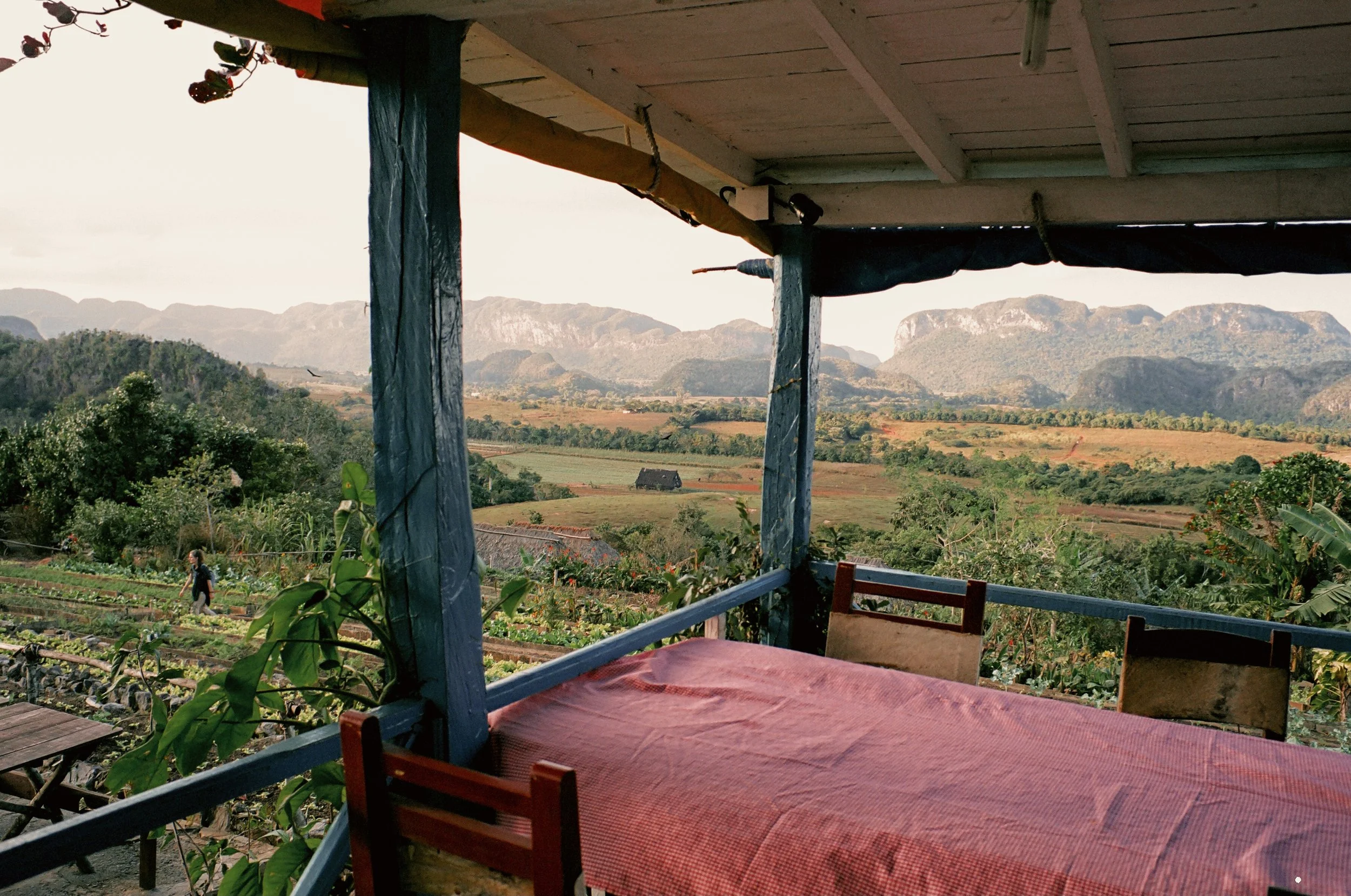 Photo Feb 09 2023, 2 29 37 PM-155.jpg