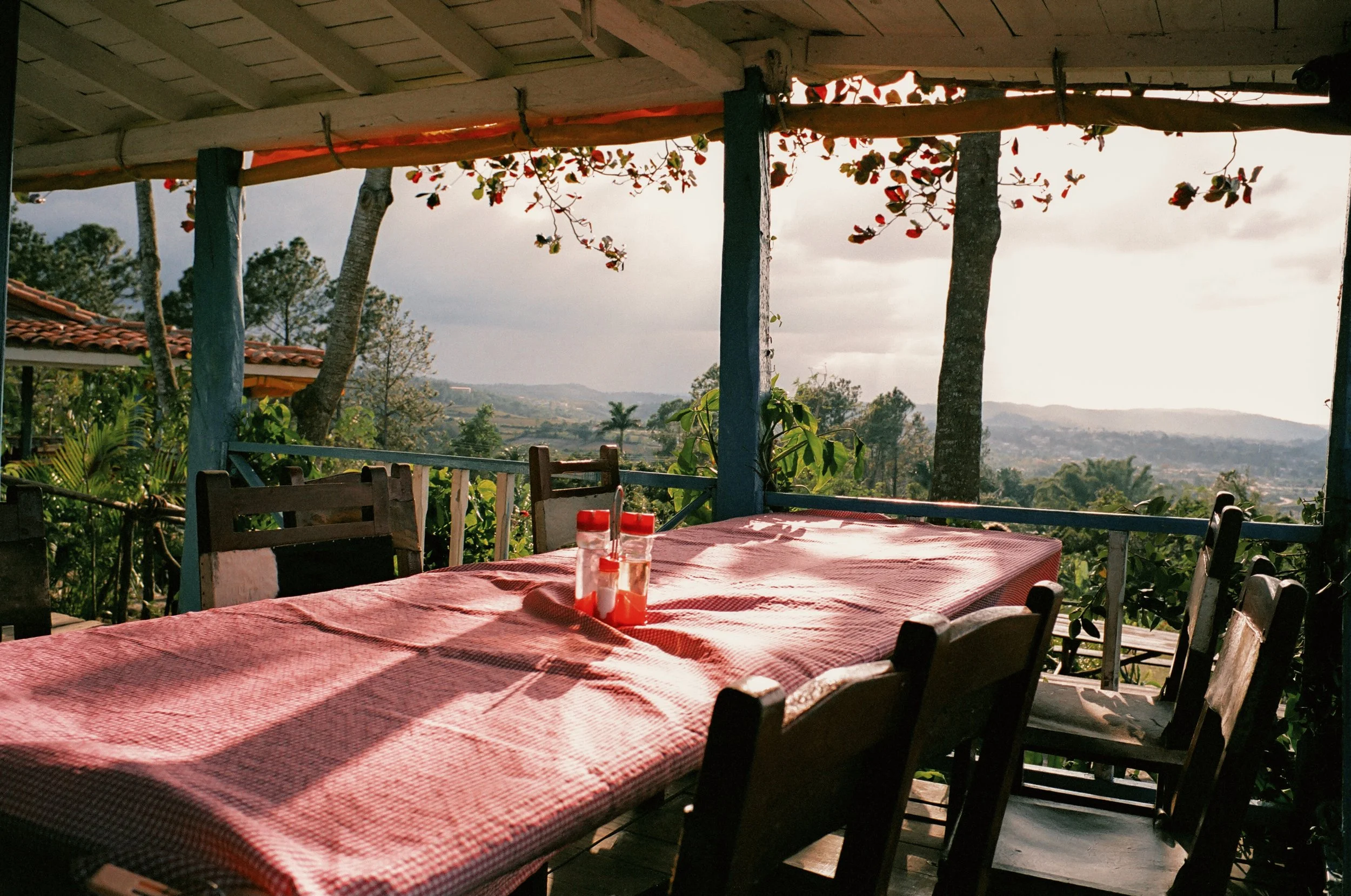 Photo Feb 09 2023, 2 29 35 PM-154.jpg