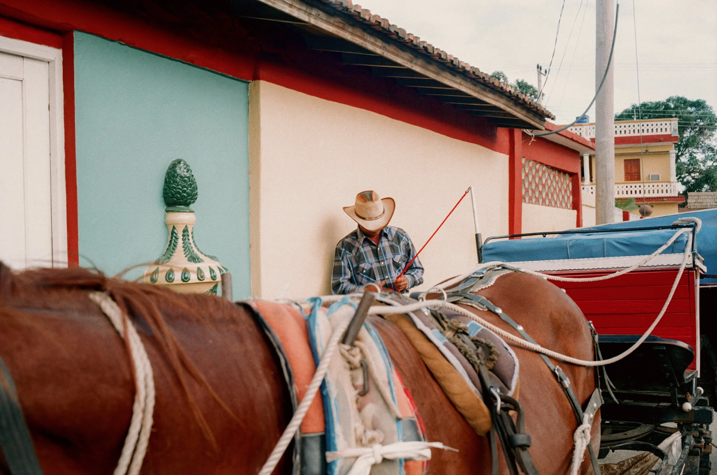 Photo Feb 09 2023, 2 28 13 PM-140.jpg