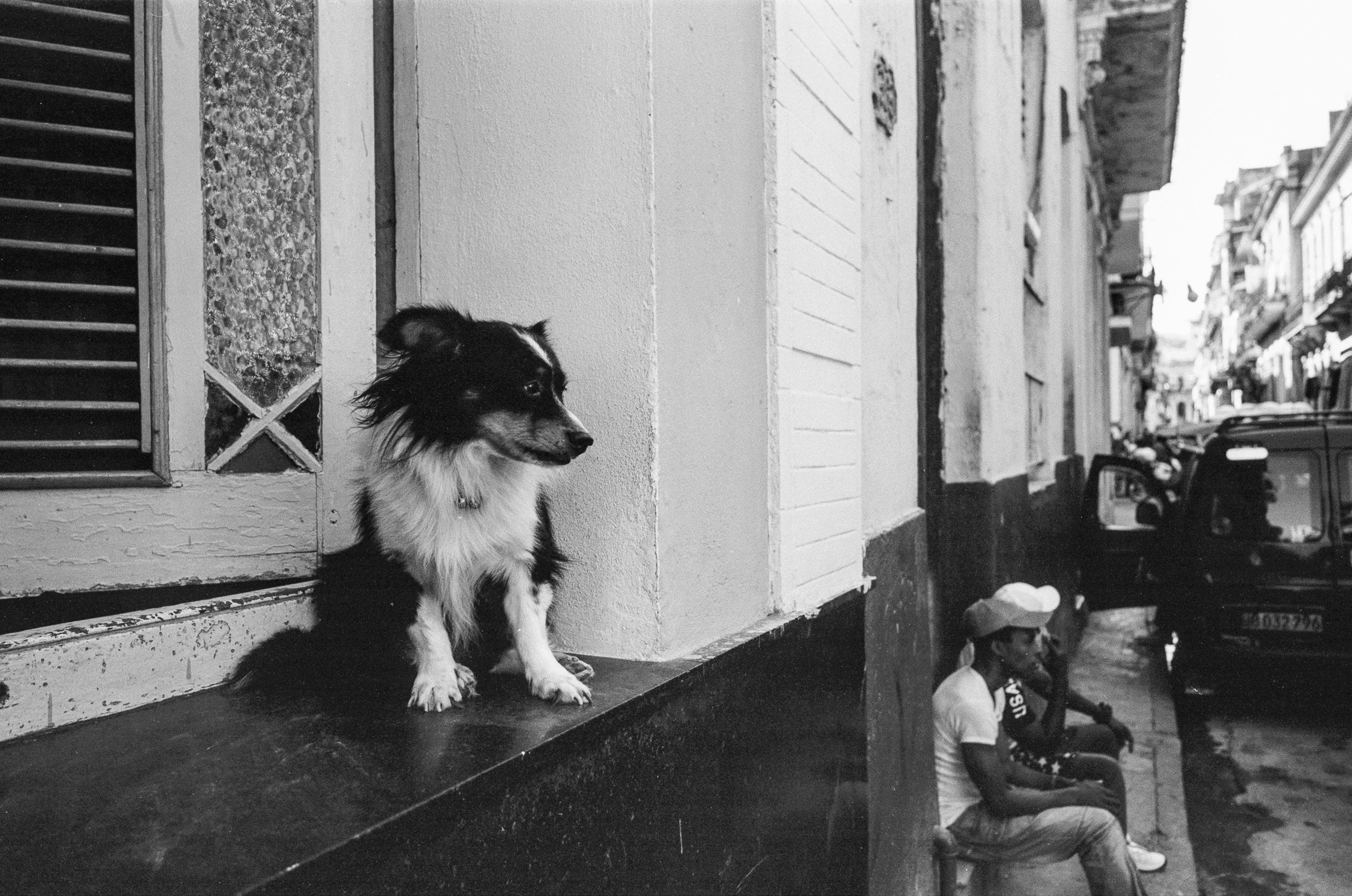 Photo Apr 04 2022, 10 07 02 AM-123.jpg