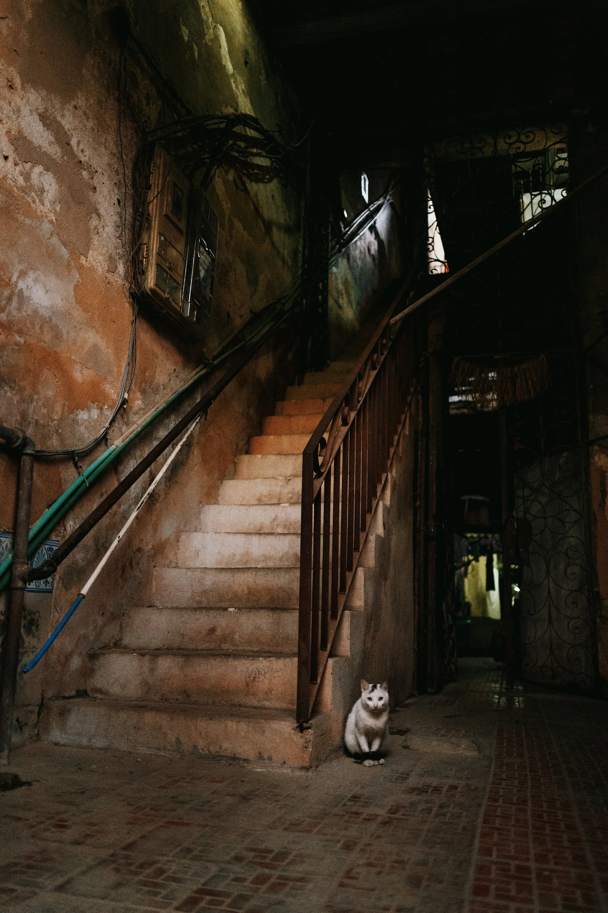 Photo Dec 11 2019, 8 53 36 PM-77.jpg