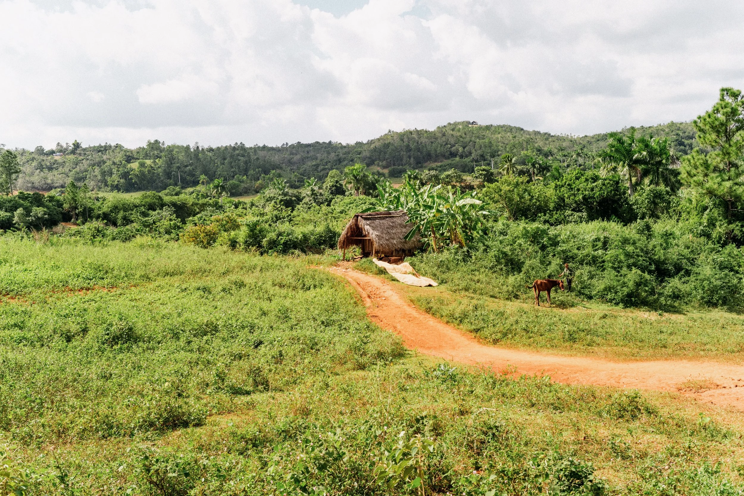 Photo Dec 11 2019, 8 51 58 PM-67.jpg