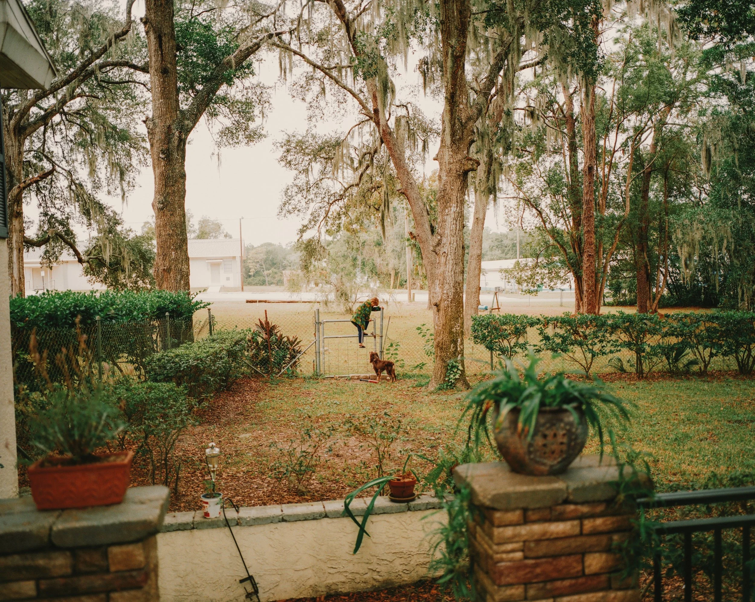 RNI-Films-IMG-0CD05D16-B087-4BA2-A7DD-472F081B9E52-214.jpg