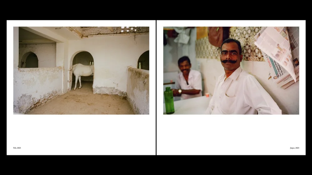 india — Joe Greer