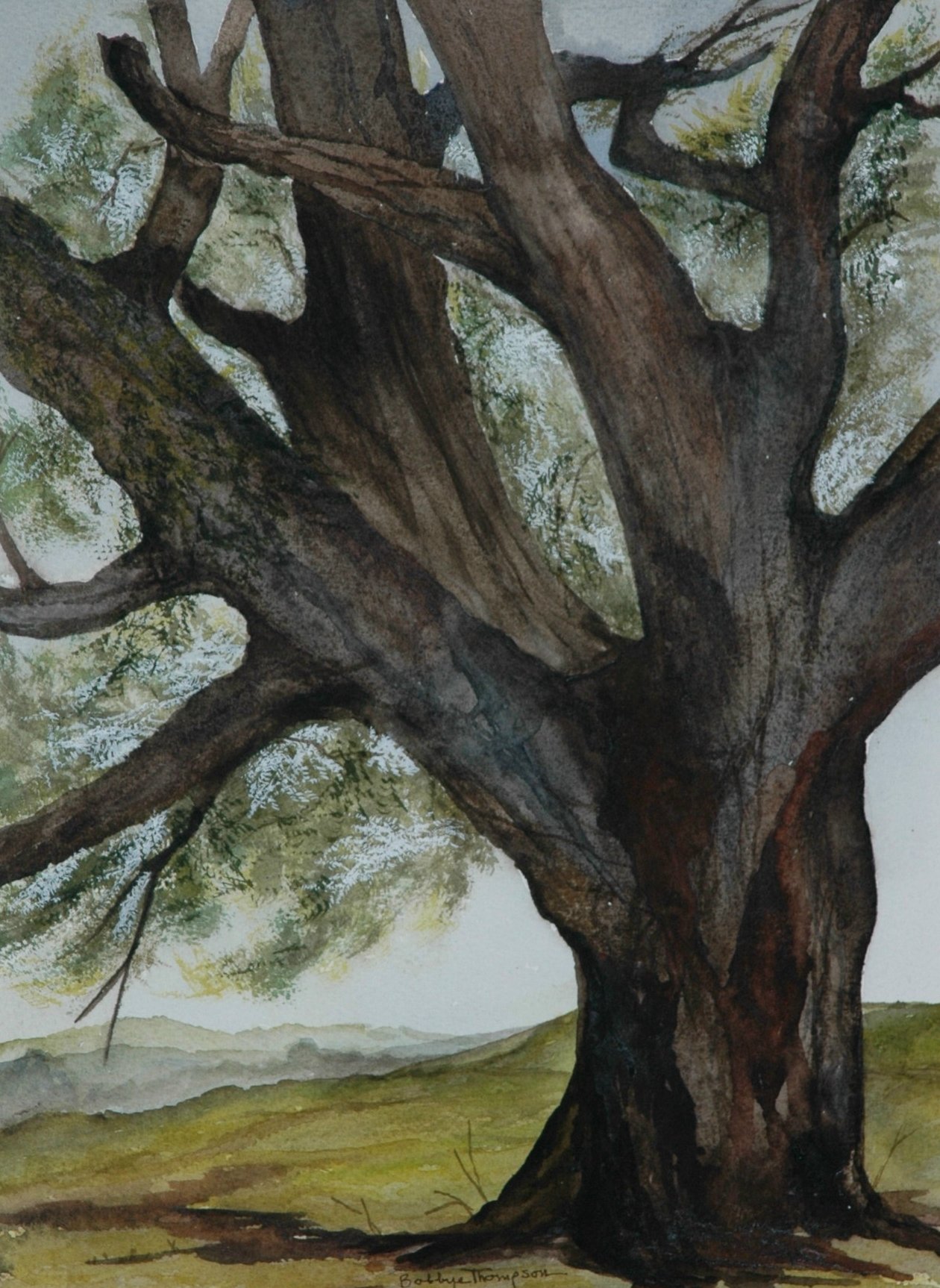 Mighty Oak - Watercolor