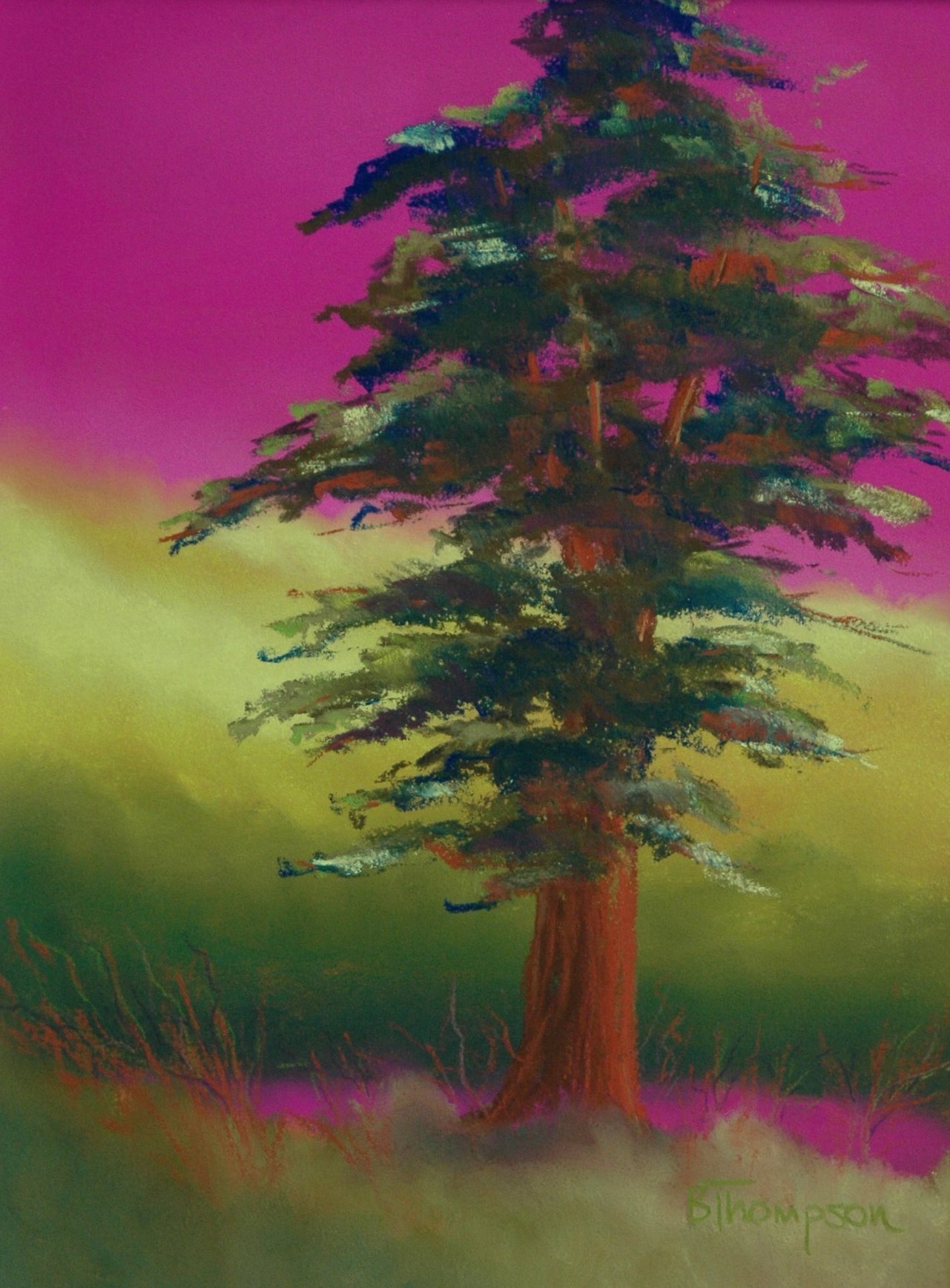 Cypress Fantasy