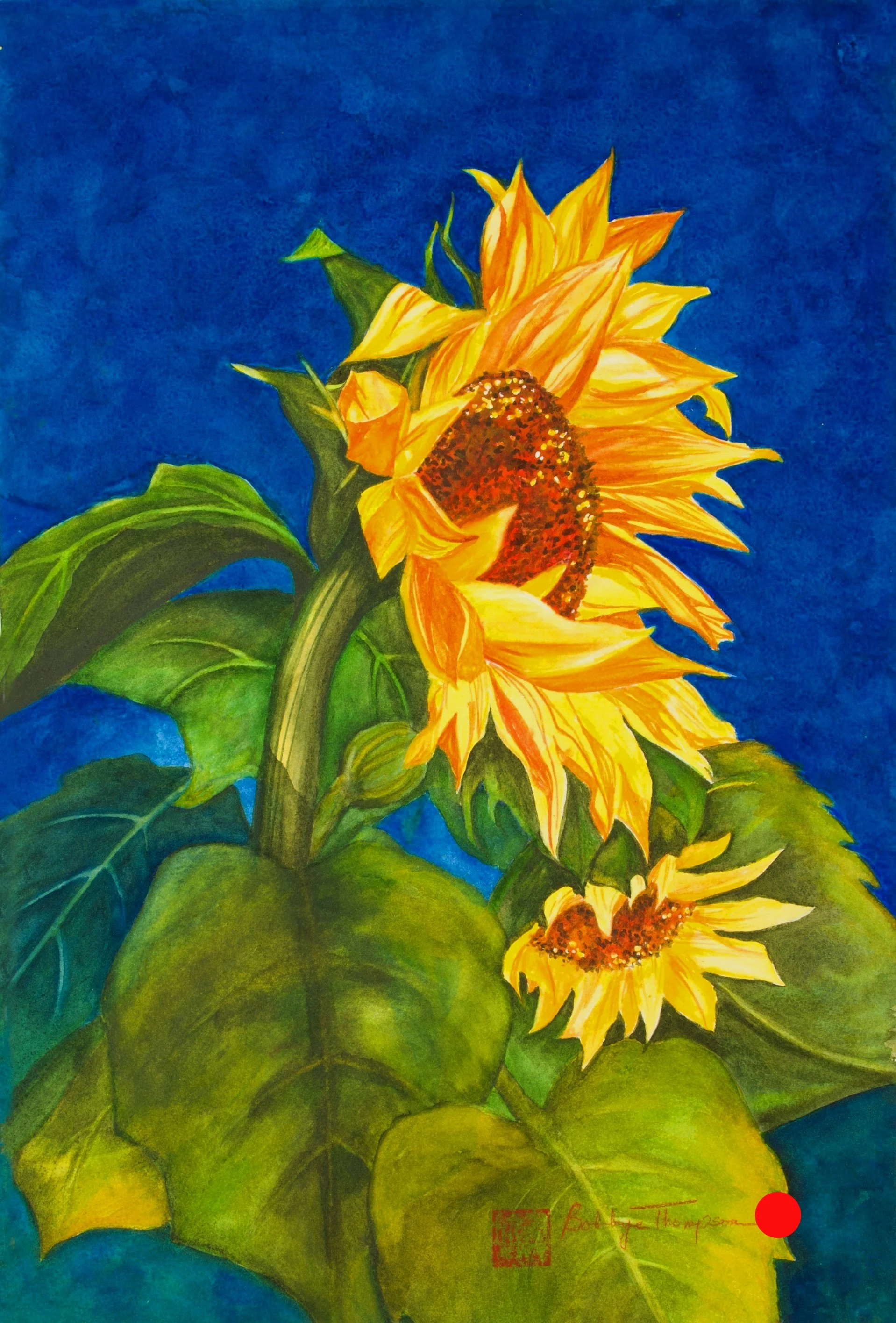 Sunflower Summer.jpg