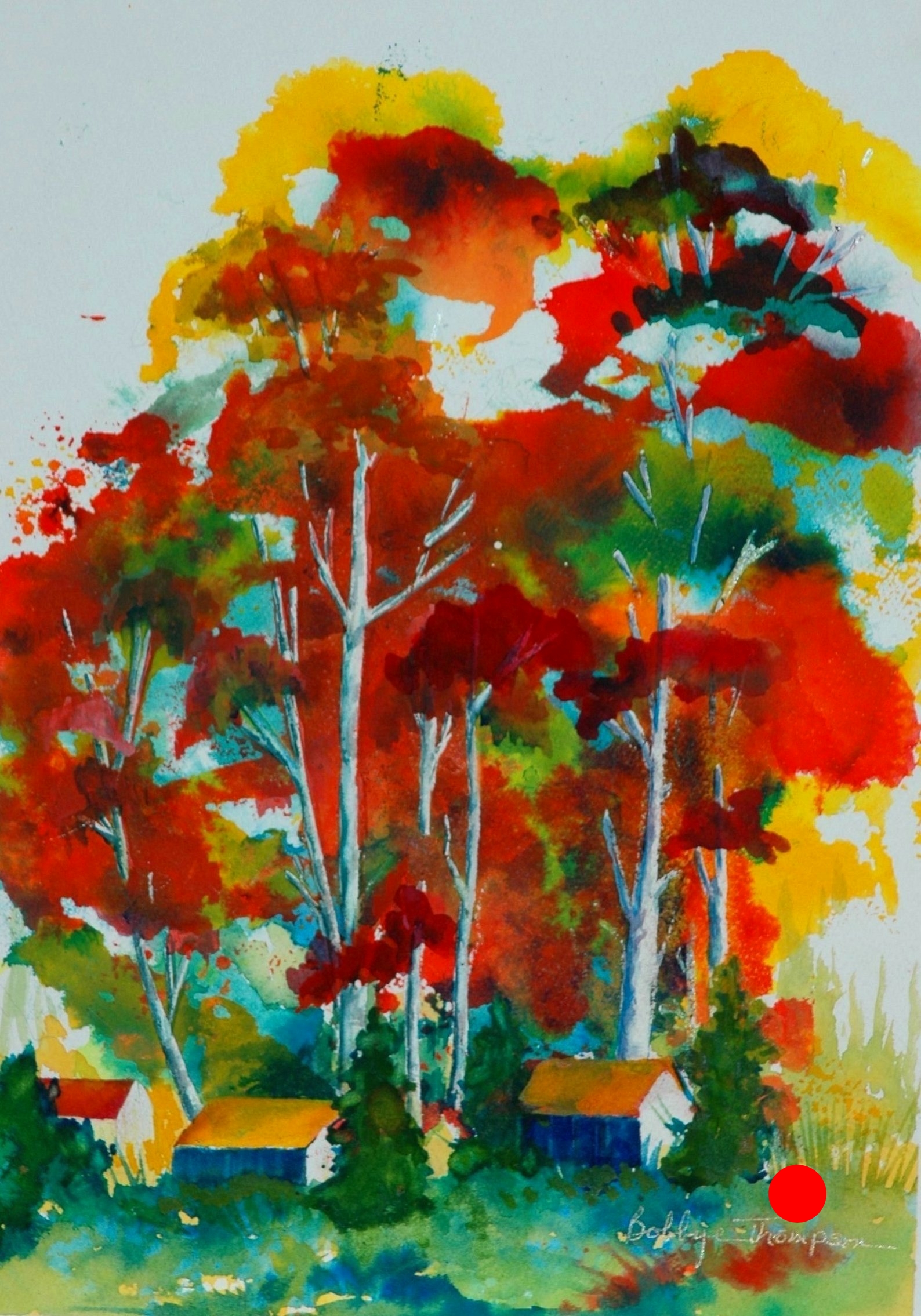 Red Hot Eucalyptus