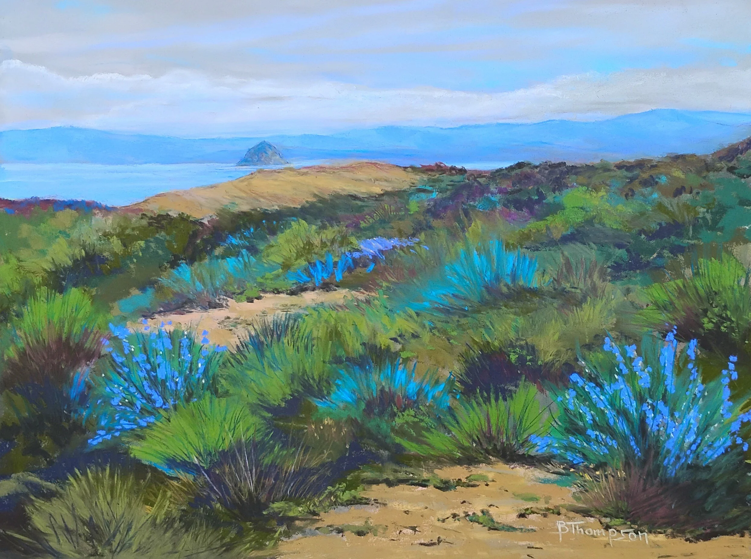 Distant View from Montana d' Oro Pastel 12 x 16 $400
