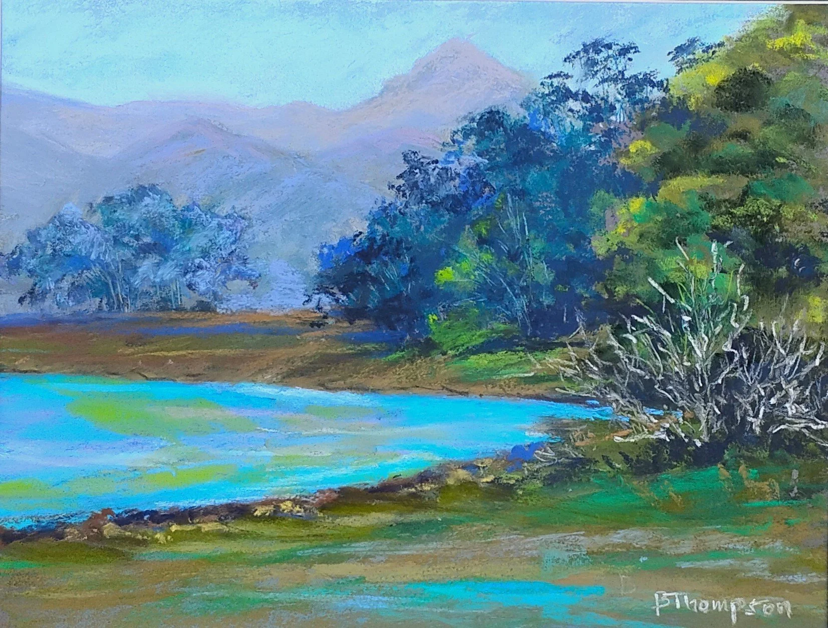 Captured Moment Pastel 9 x 12 $300