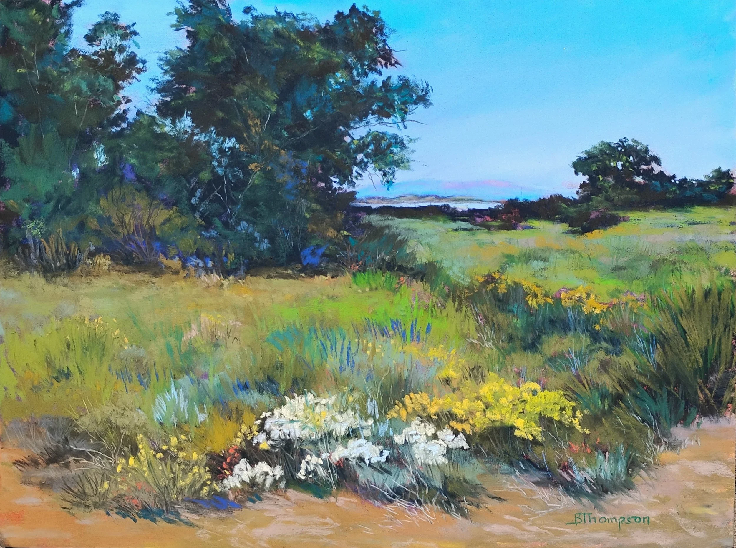 Through the Meadow Toward the Sea Pastel 12 x 16 $700