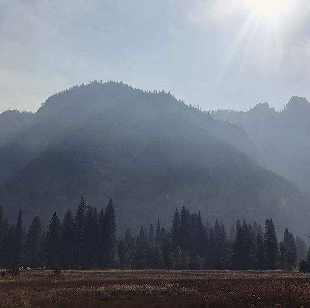 Thankful to spend a few peaceful days in Yosemite