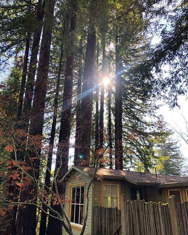 Weekend in the woods chatting about life with @tarasoph and @lschwech. 💜