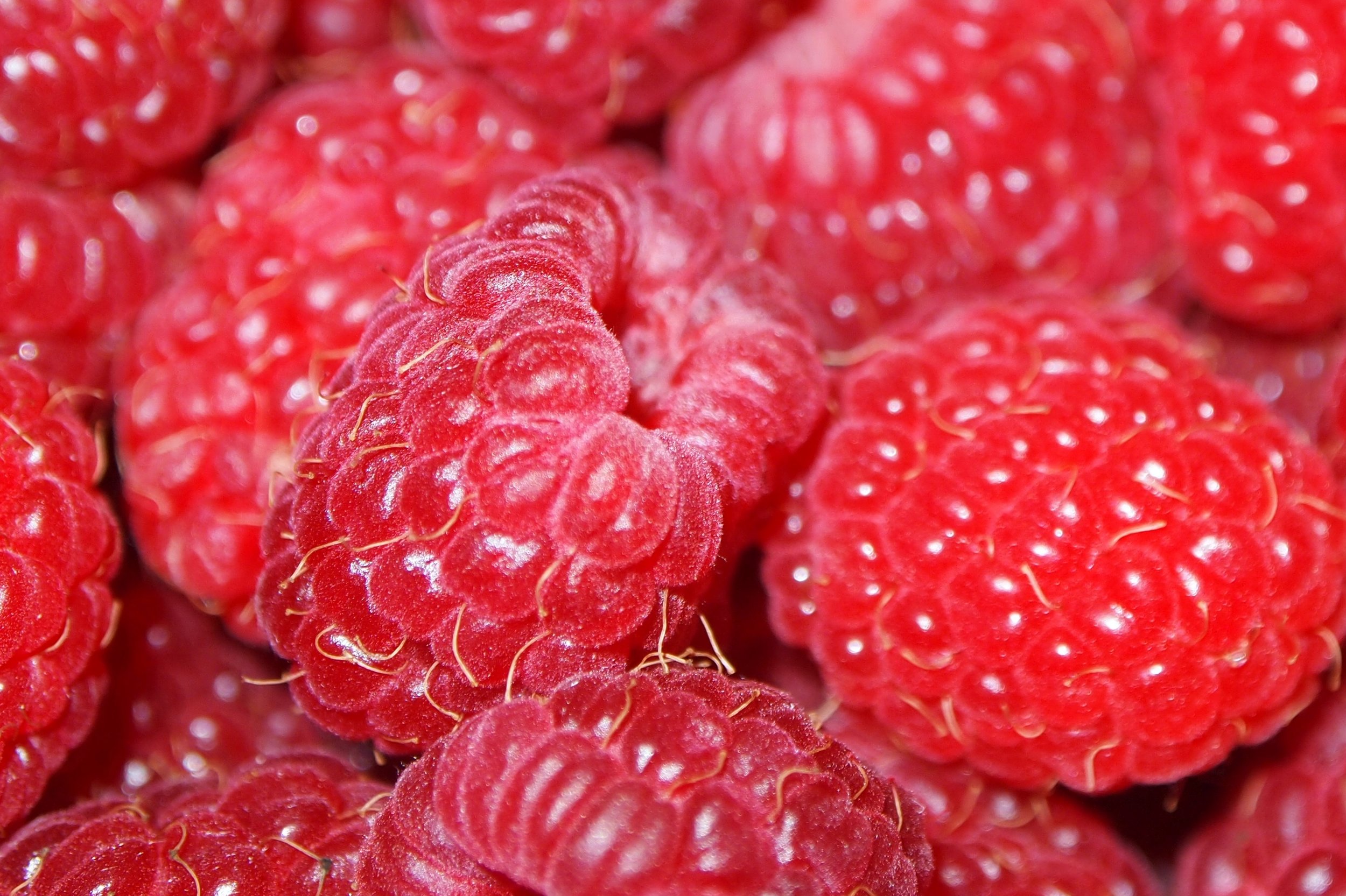 berries5.JPG
