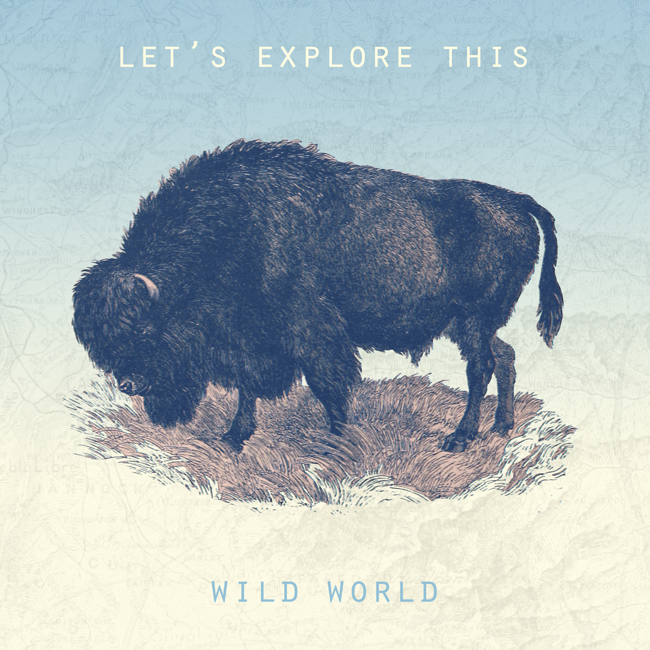 Wild World