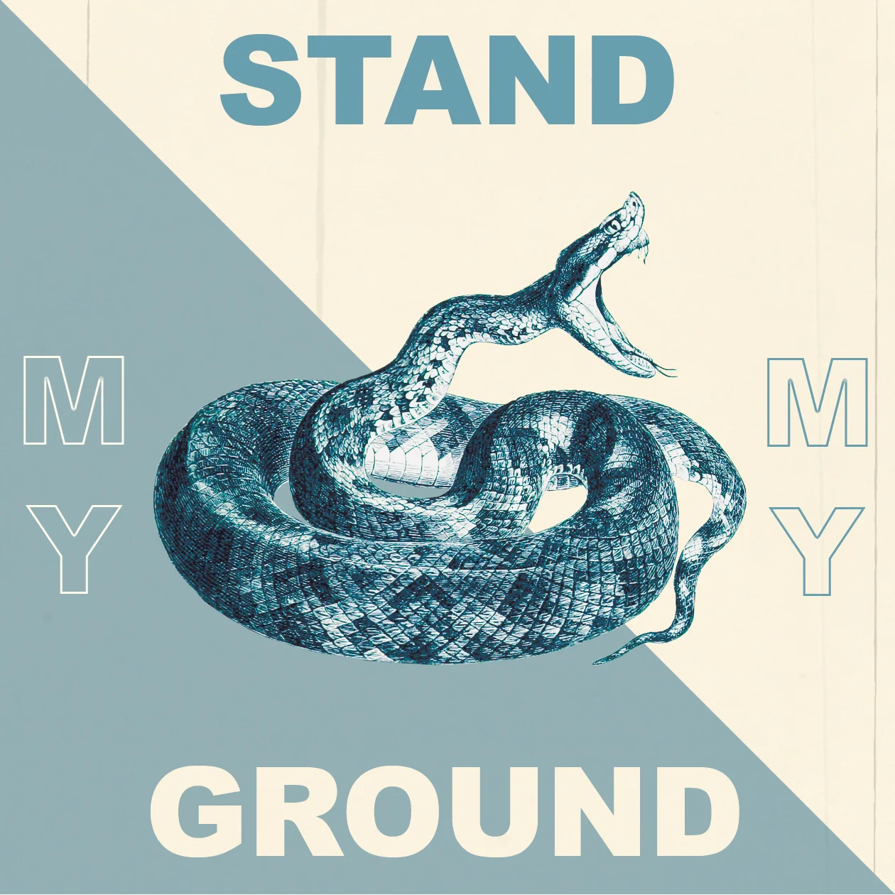 Stand My Ground