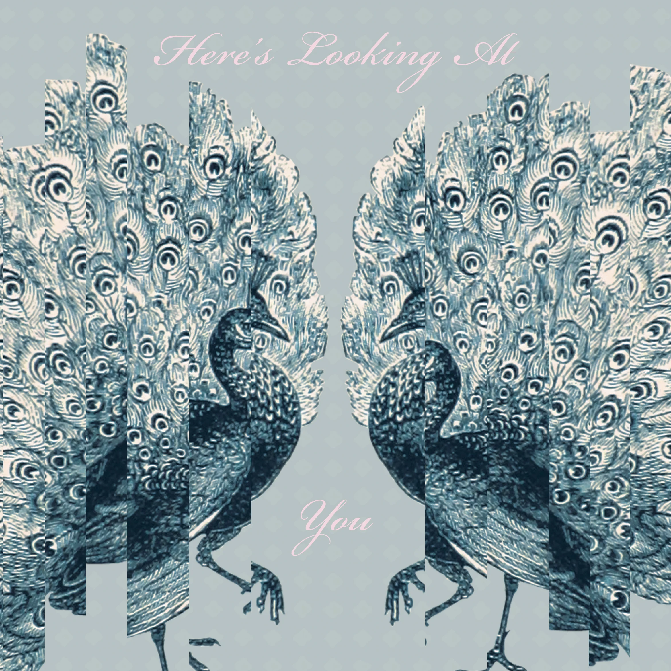 Here's Looking At You
