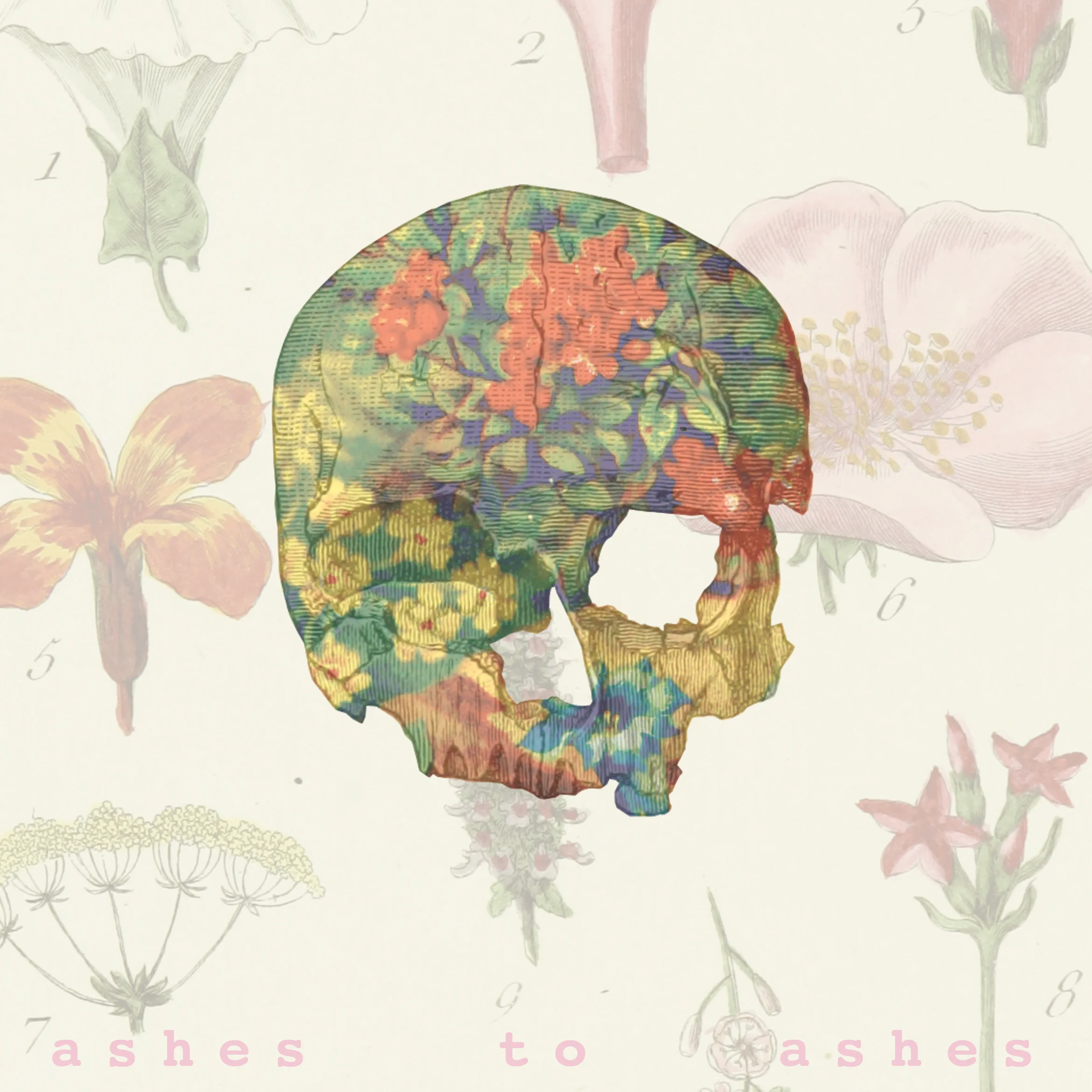 Ashes to Ashes