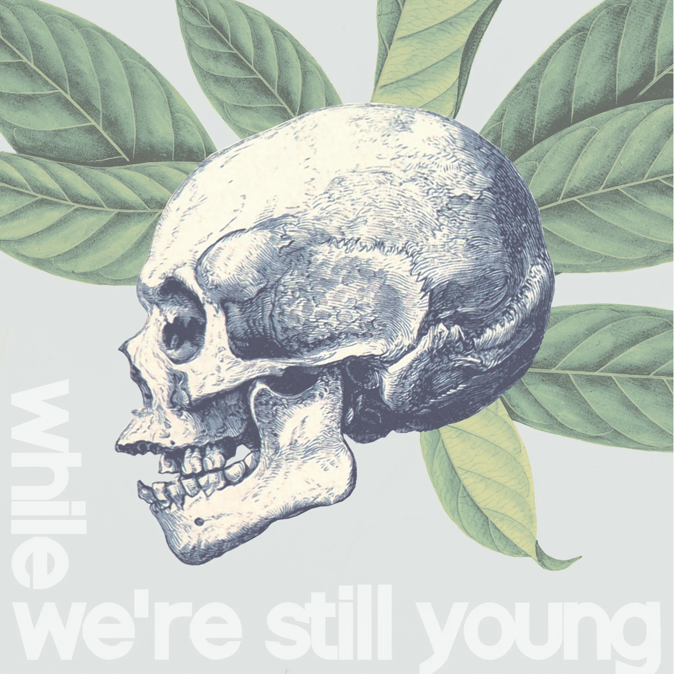 While We're Still Young