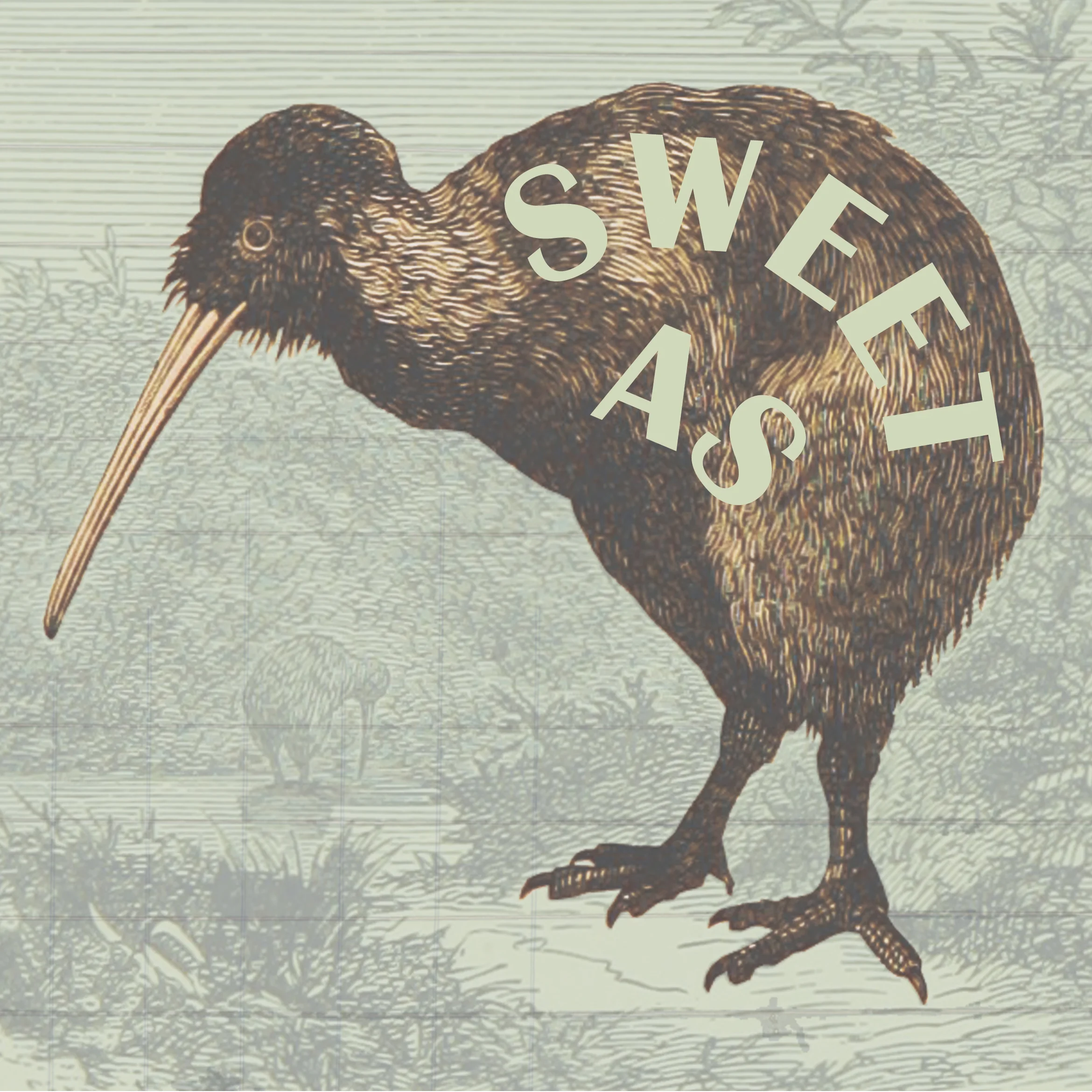 Sweet As, Mate