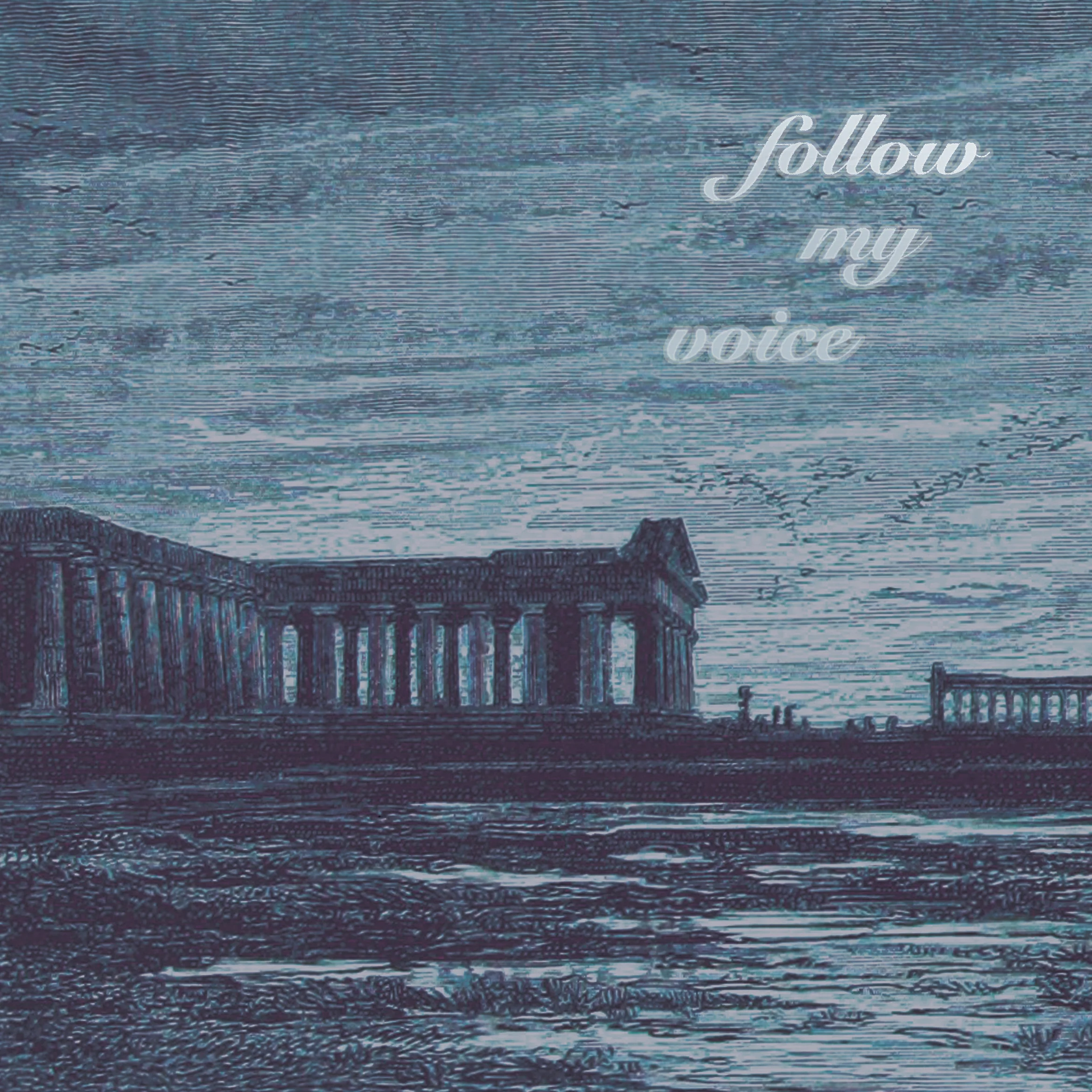 Follow My Voice