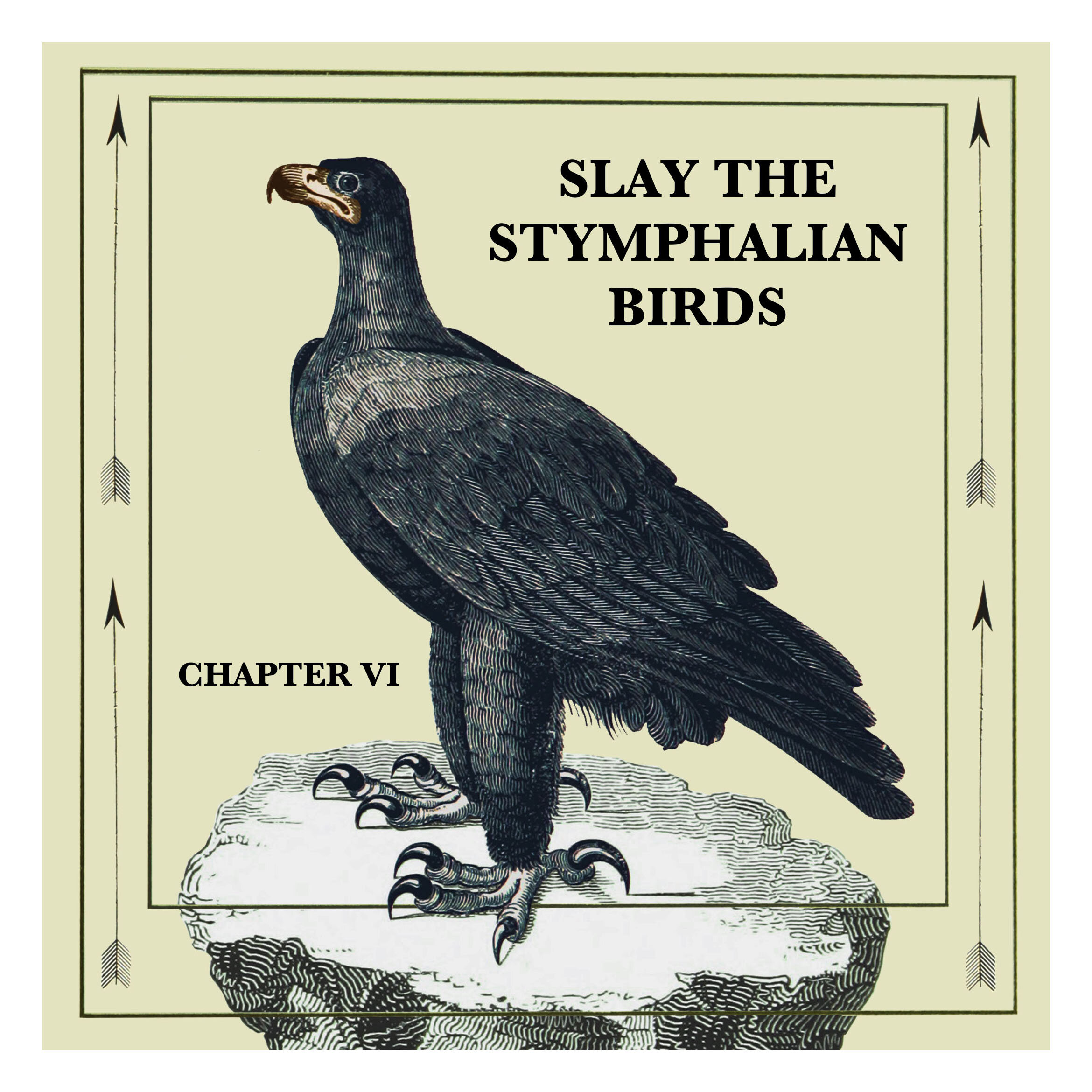 birdsinsta.jpg