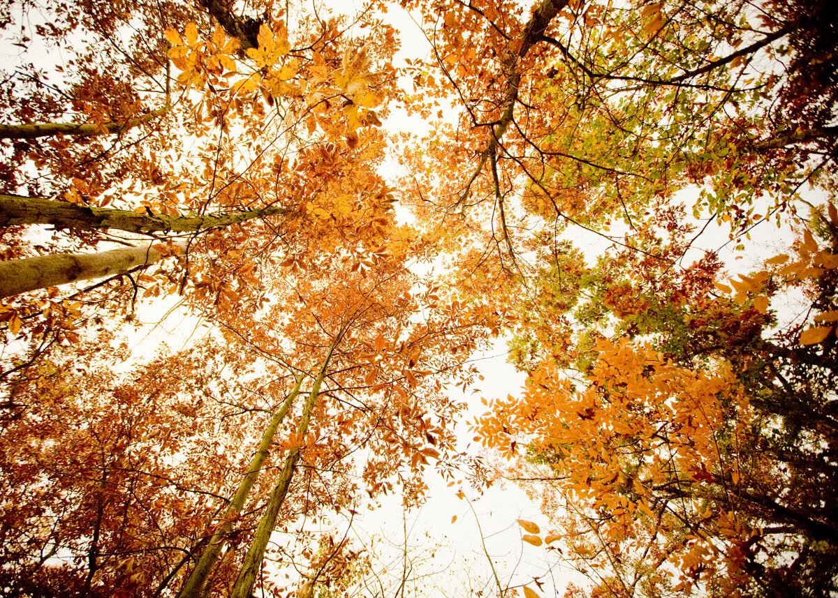 How to Work Through Your Ambivalence: A Guide to Lifestyle Change 