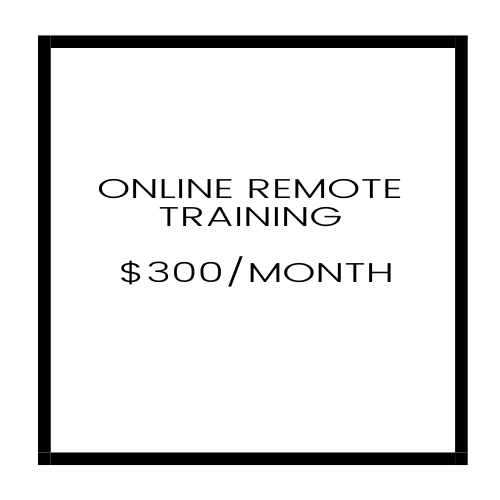 Remote Training.png