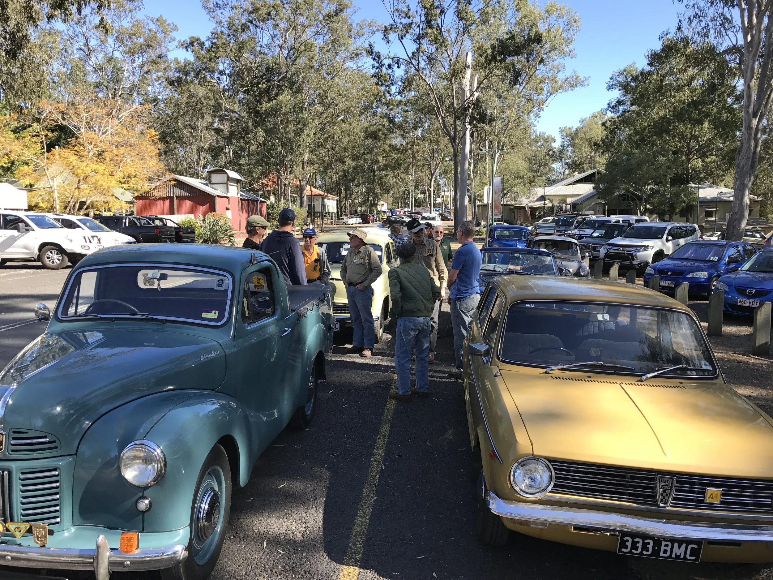 Windy Petrie Markets Day