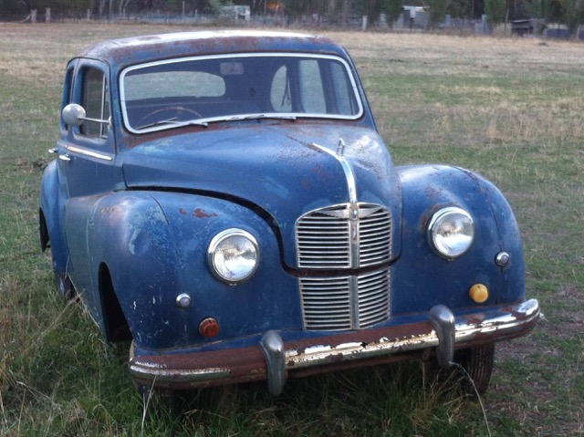 The things you find in a paddock...........