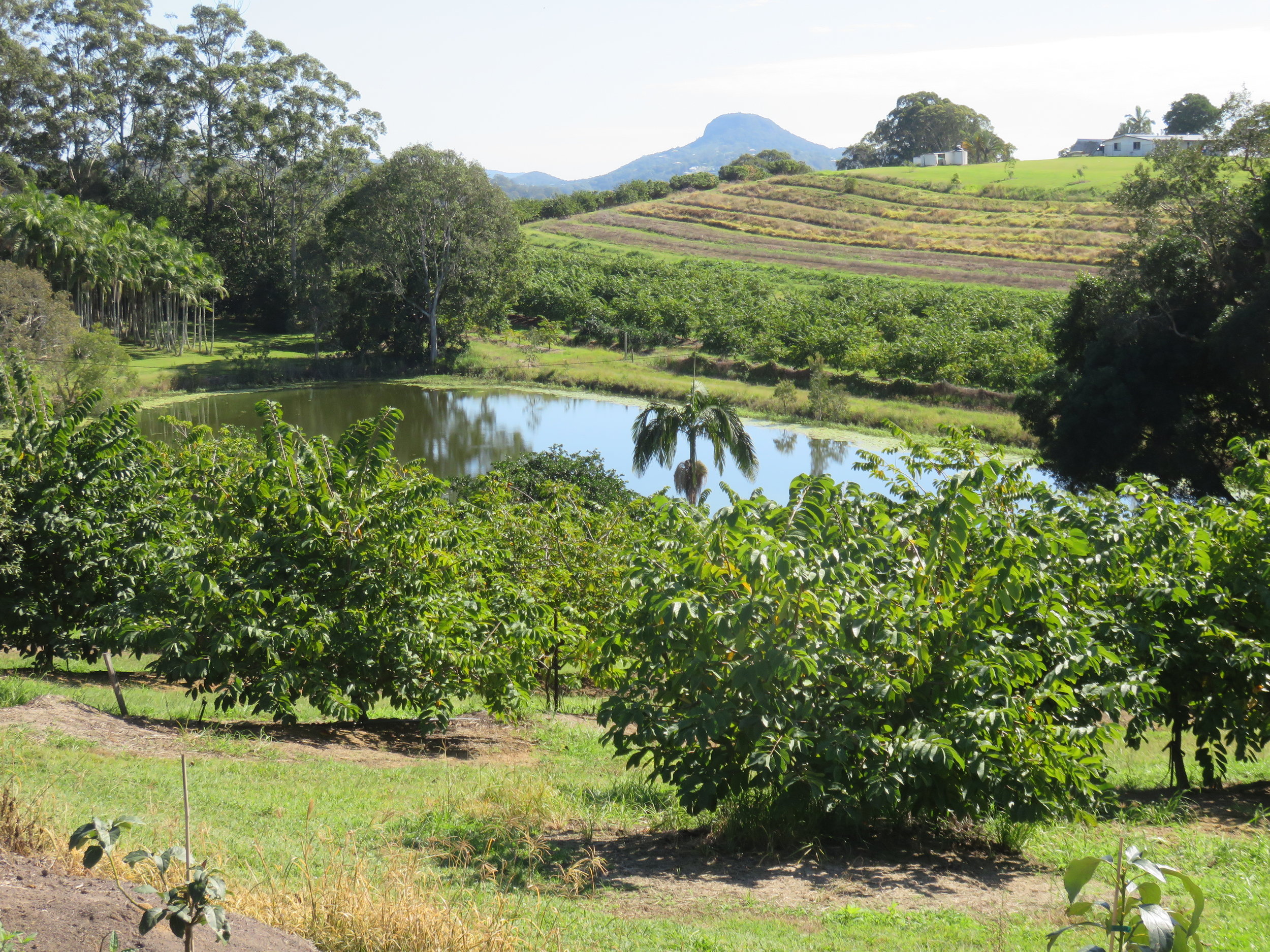 The vistas around McMartin's Farm were sublime