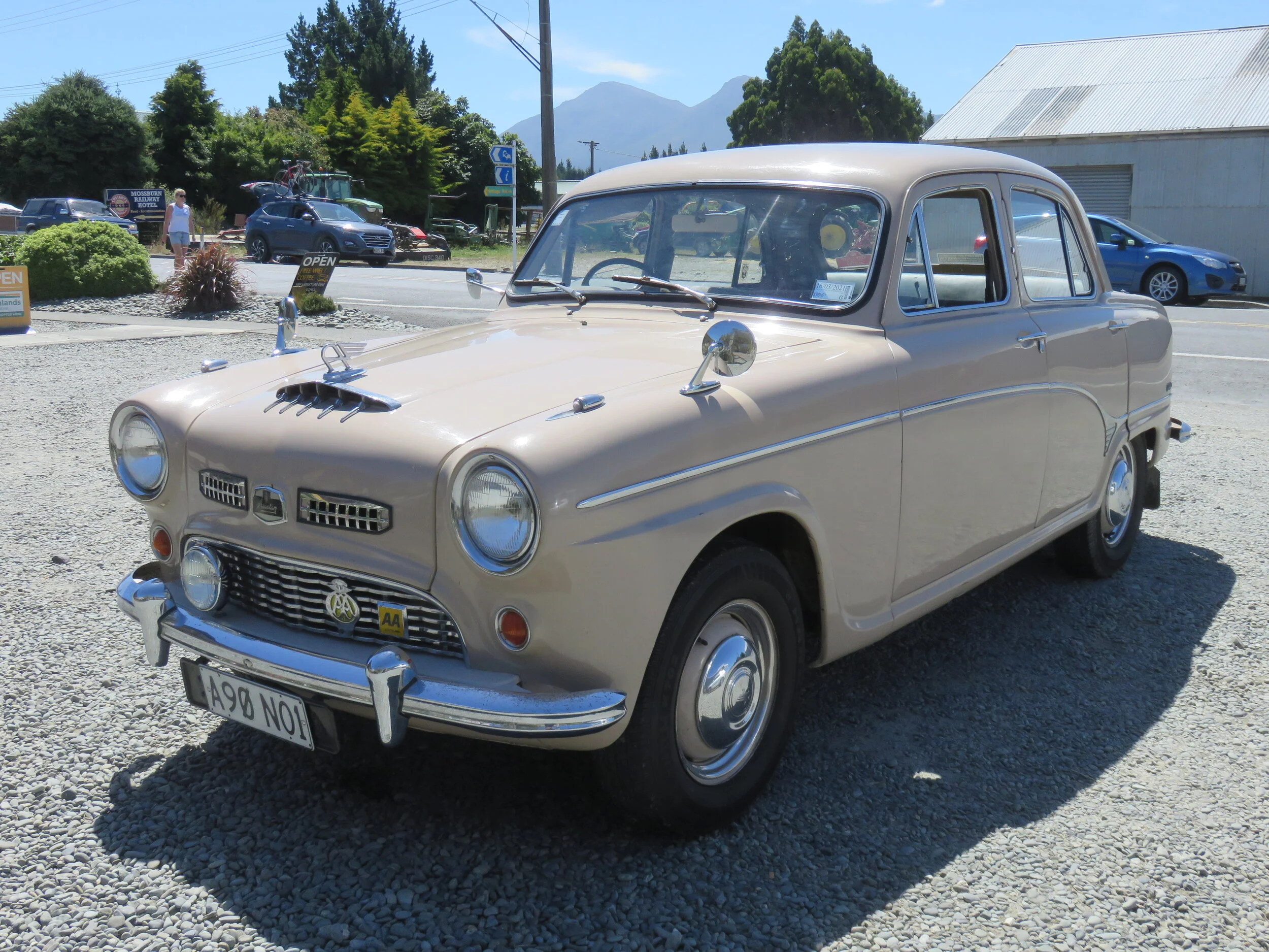 Summer in NZ with Austins and other classics