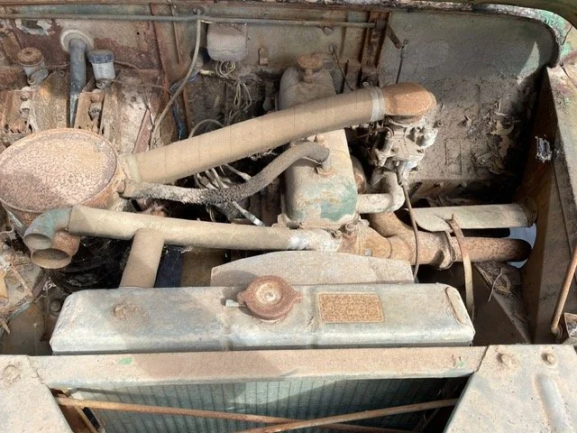 image7 (1).jpeg