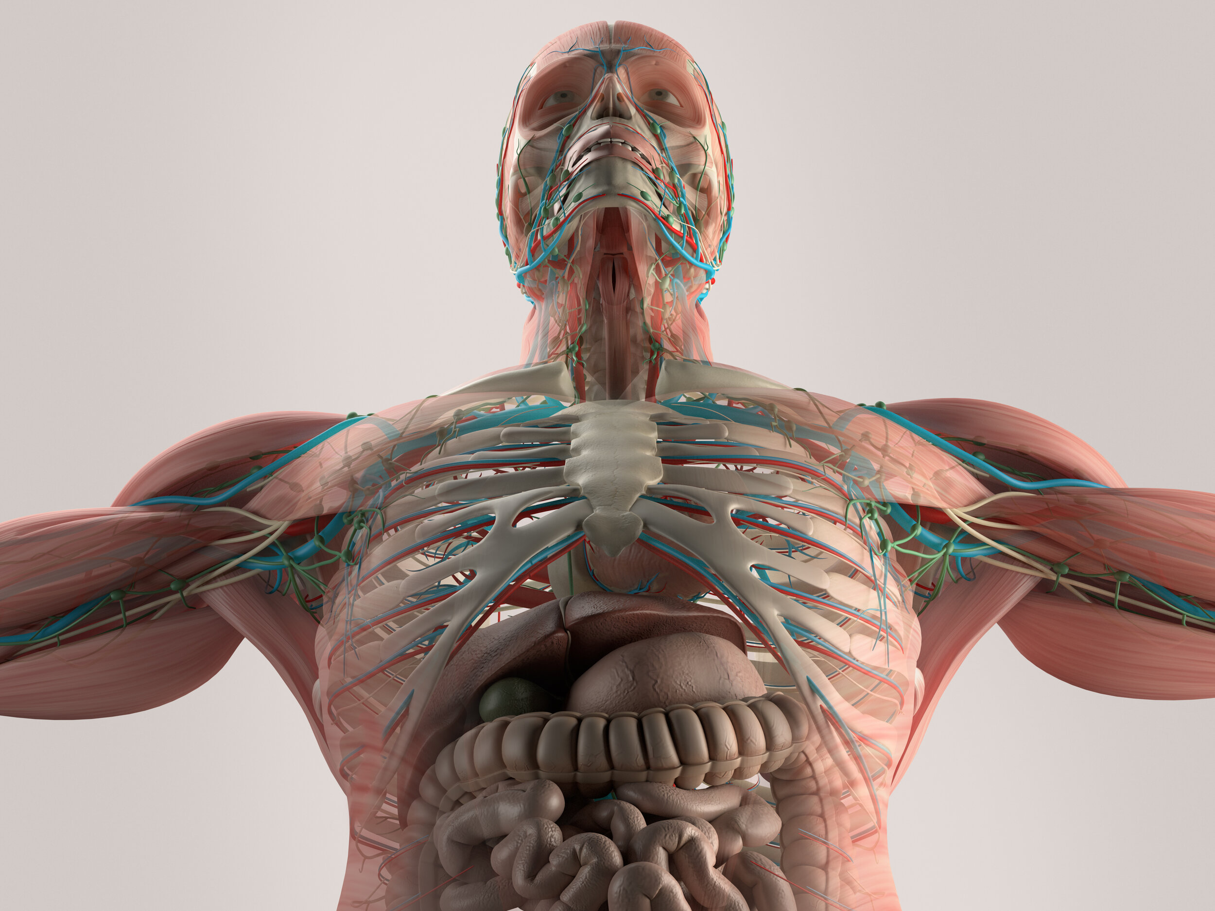 02Dynamic Human Body Complete.jpg
